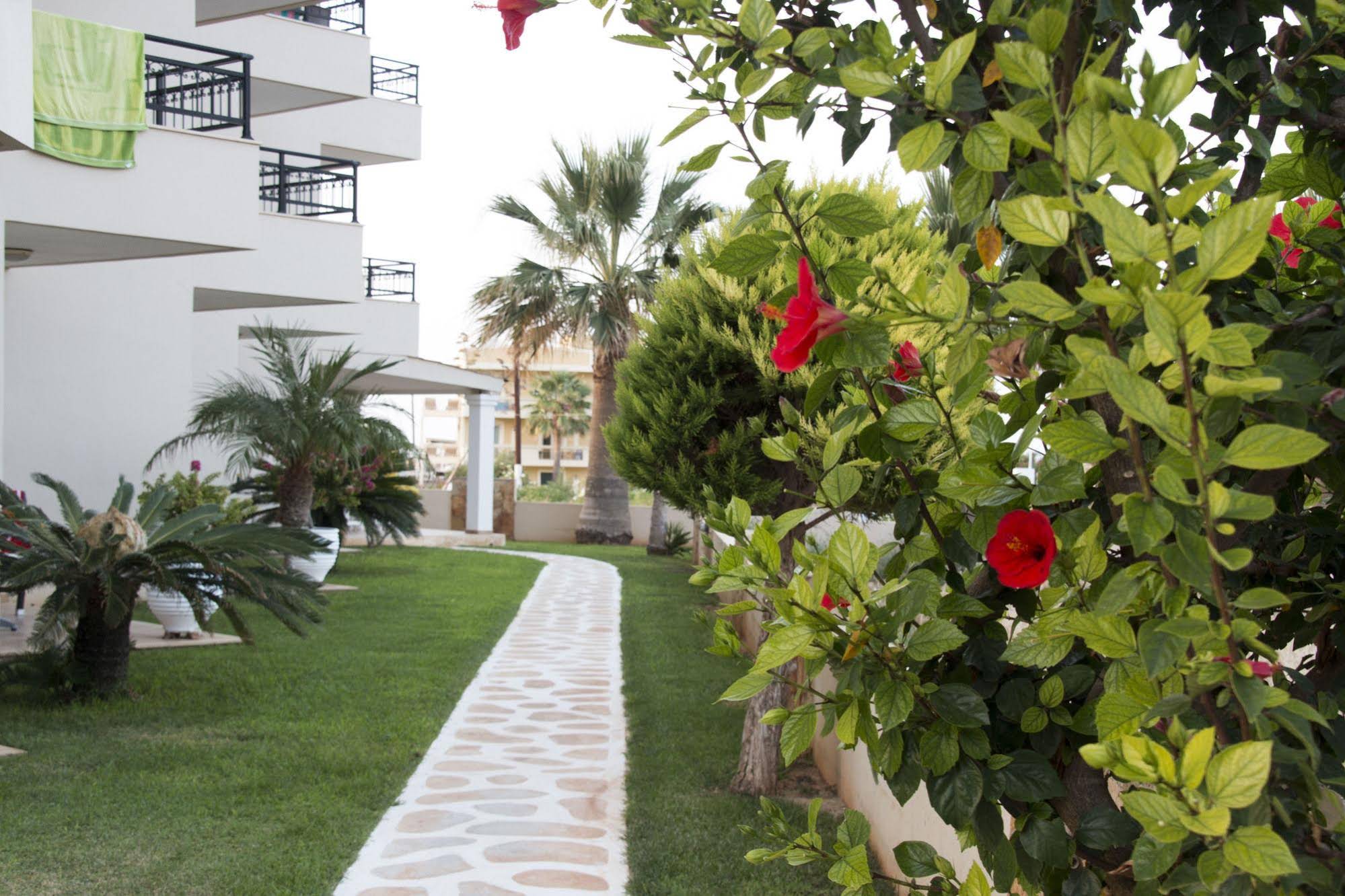 Ammos Apartments & Suites