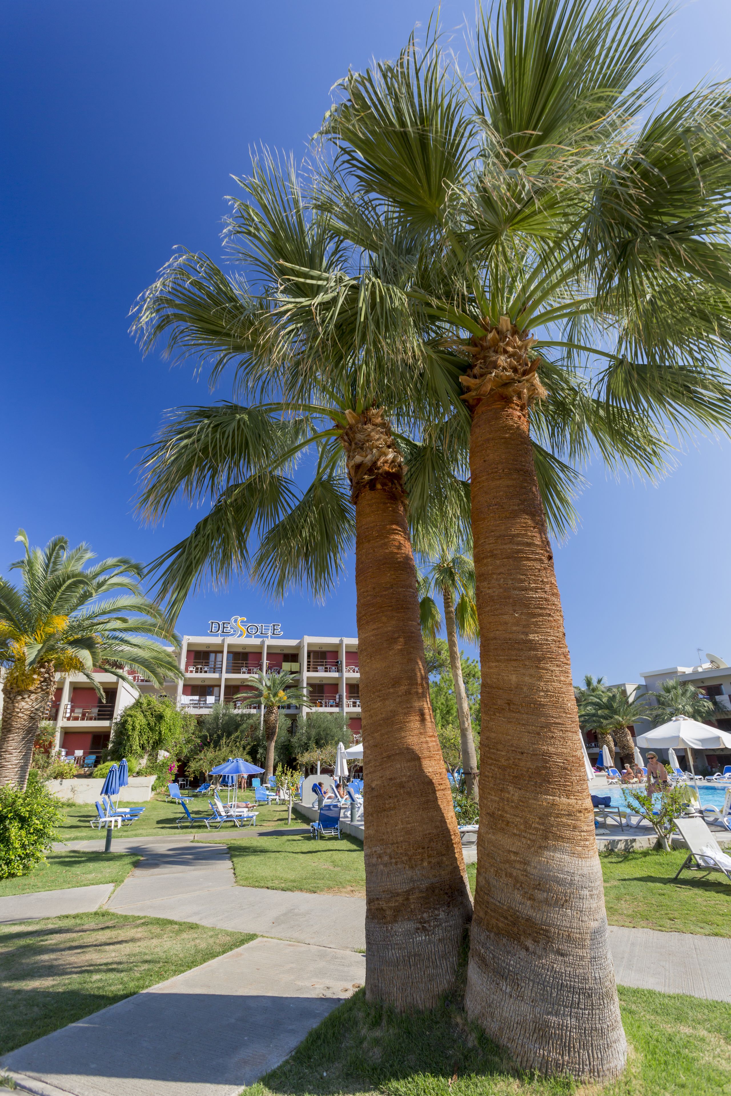 allsun Hotel Malia Beach