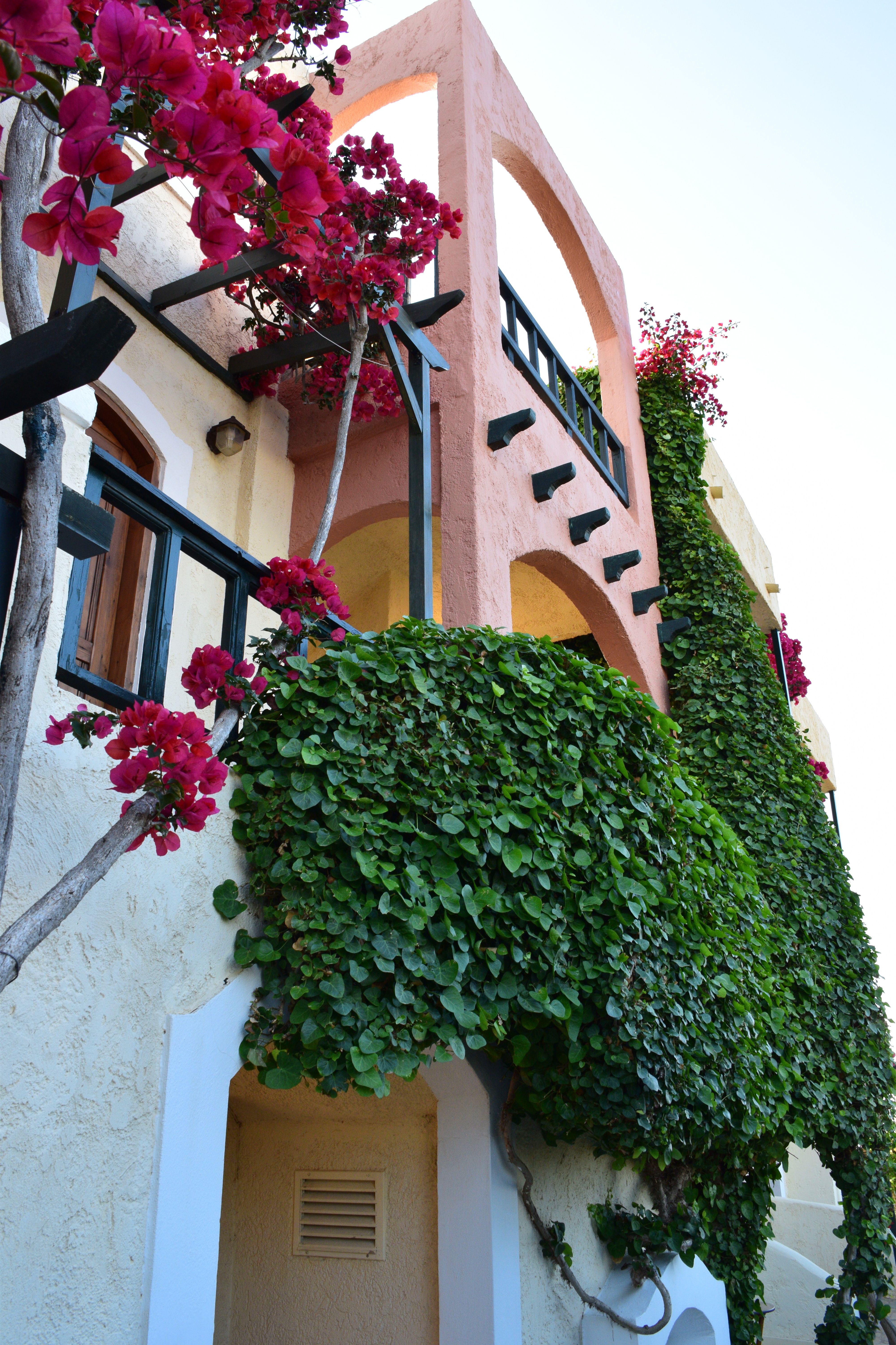 Mila Malia Studios Hotel
