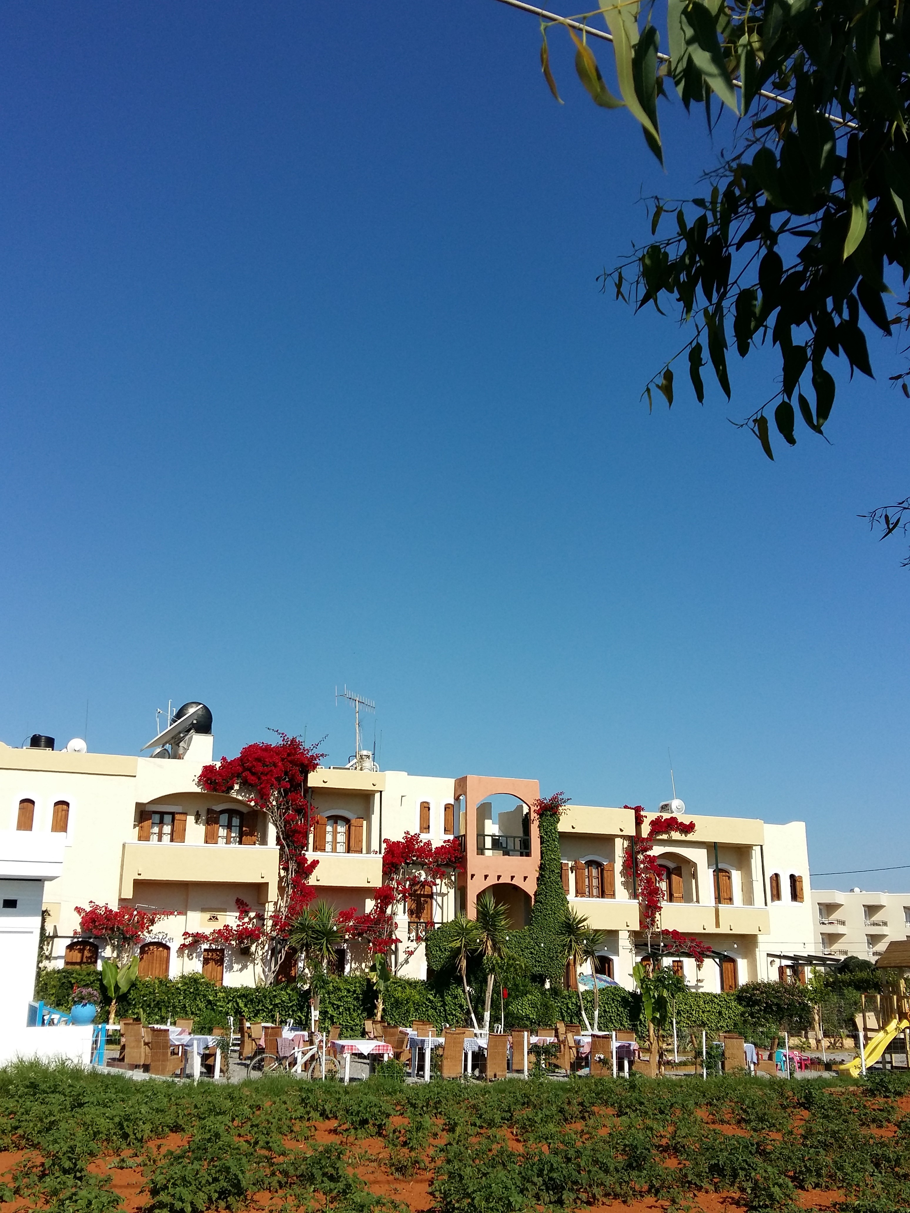Mila Malia Studios Hotel