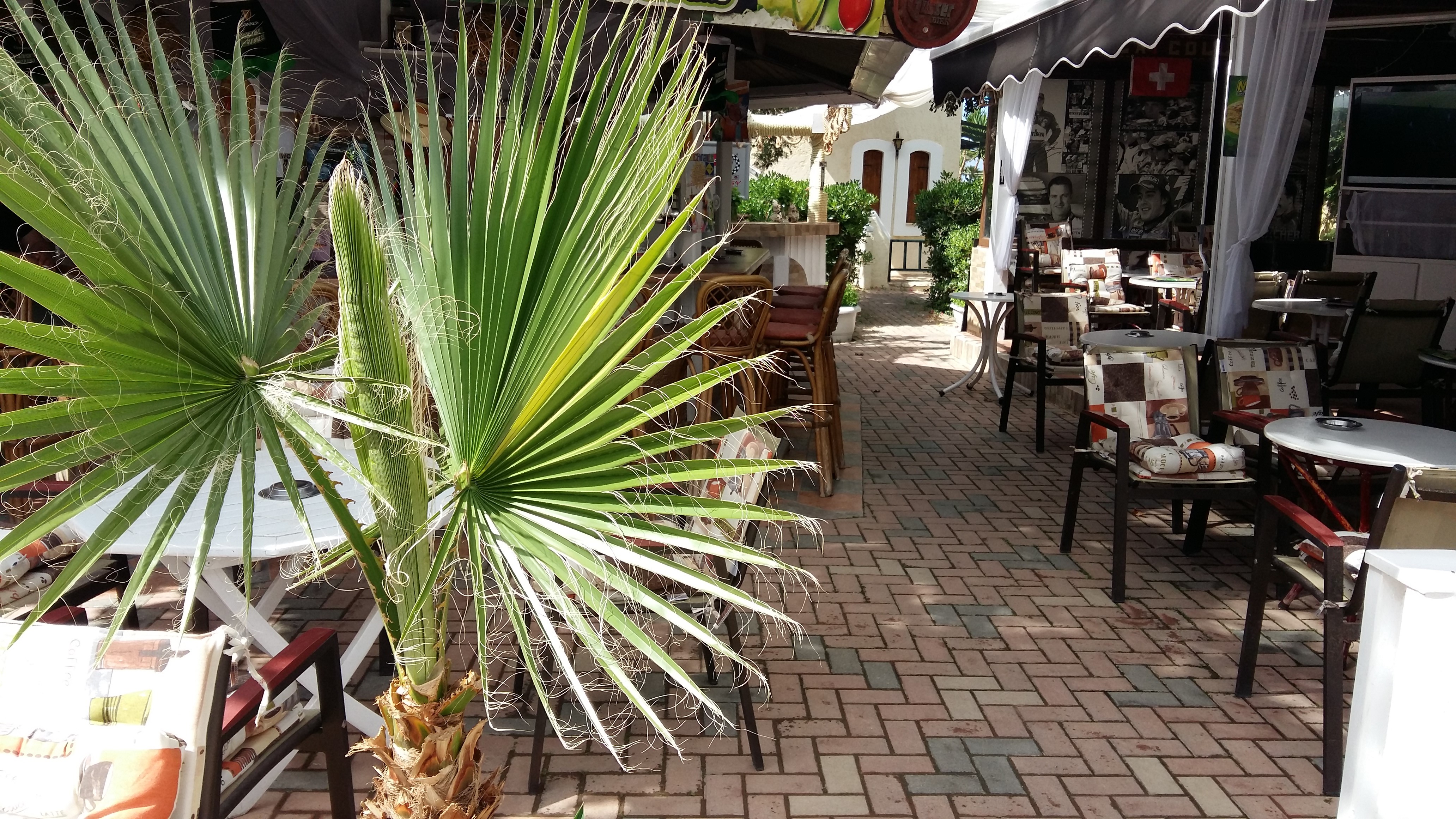 Mila Malia Studios Hotel