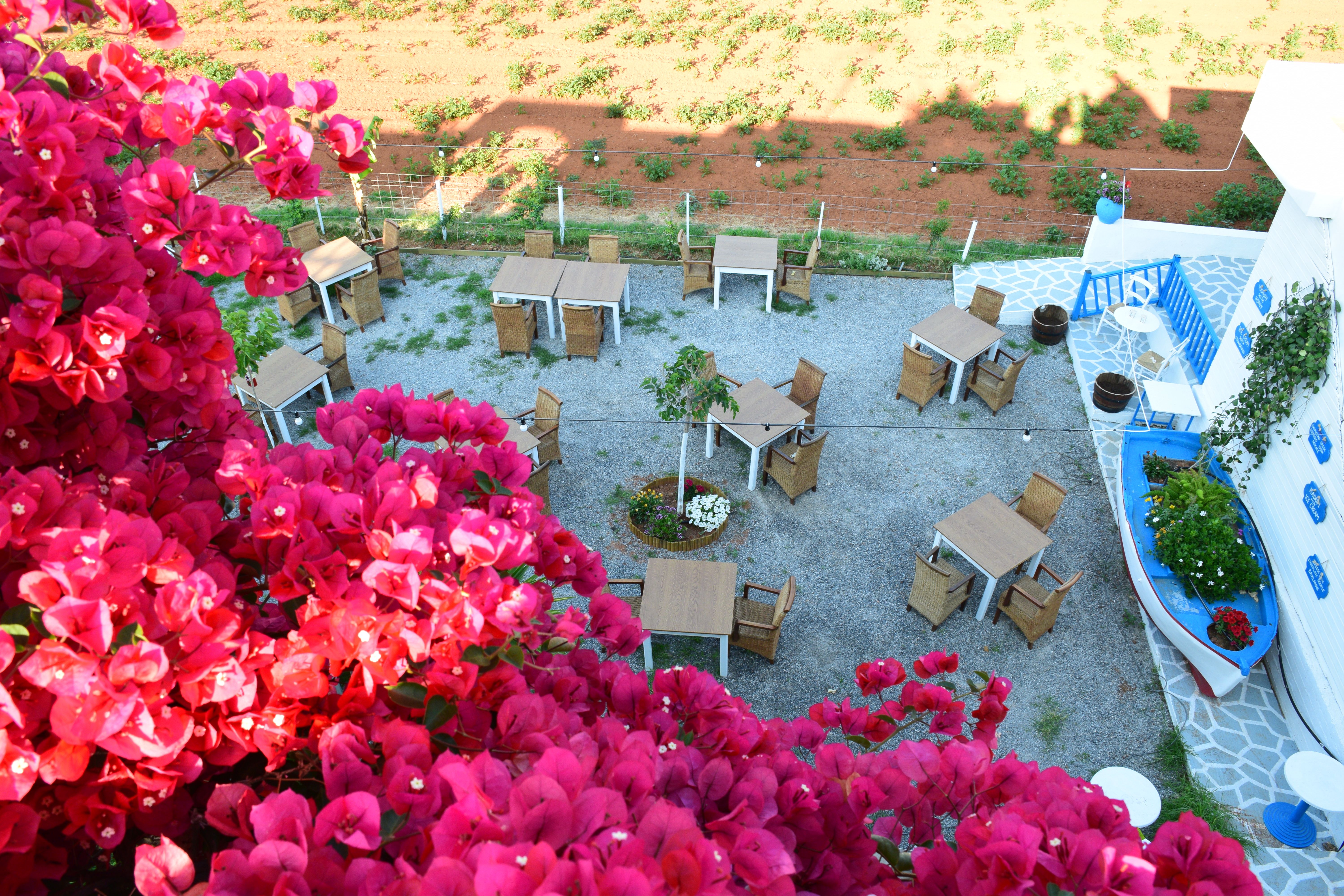 Mila Malia Studios Hotel