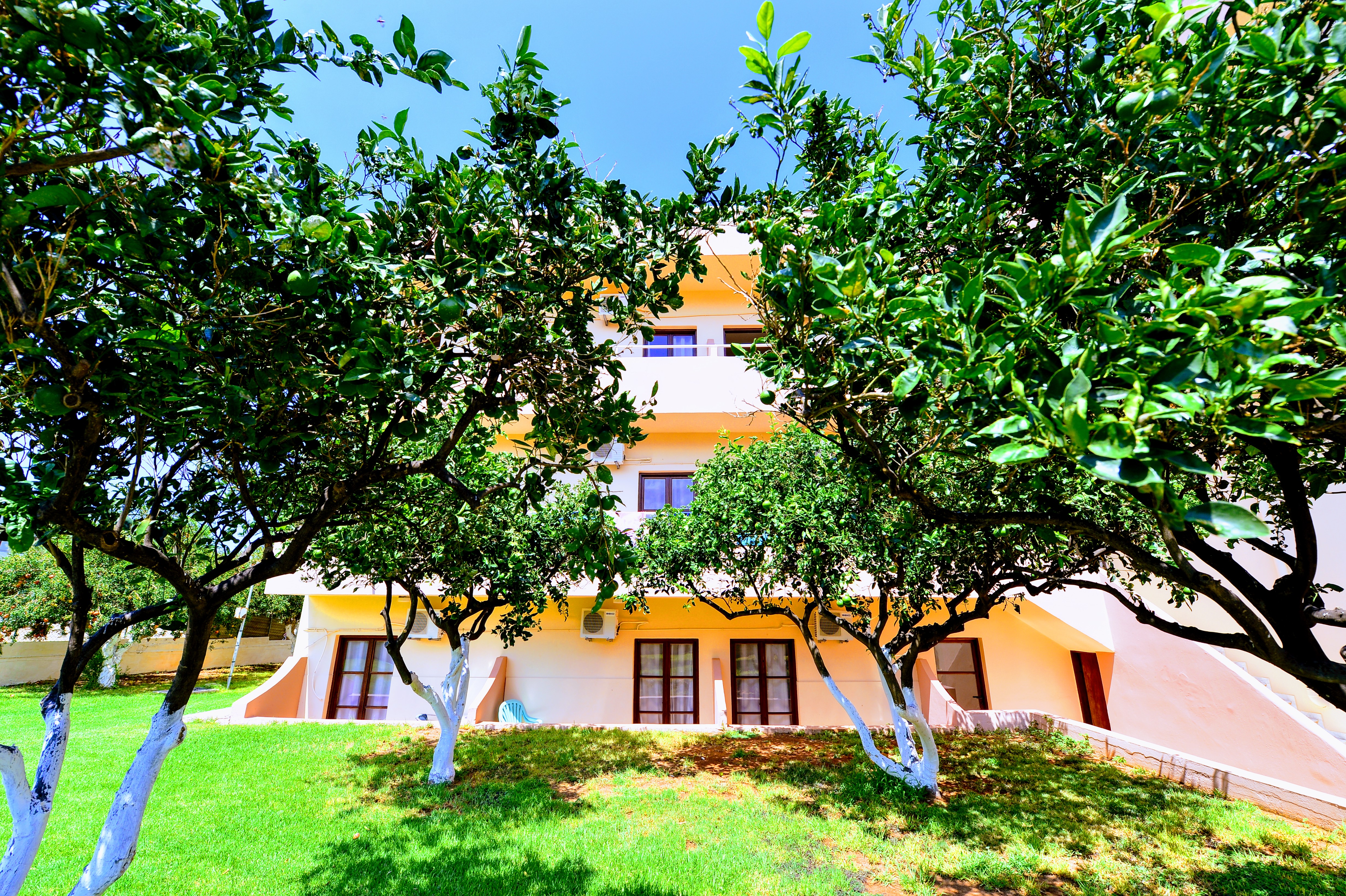 Vergas Hotel Malia