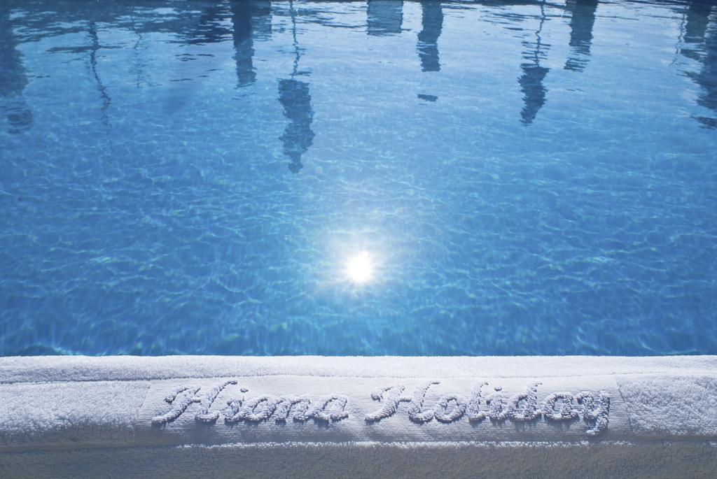 Hiona Holiday