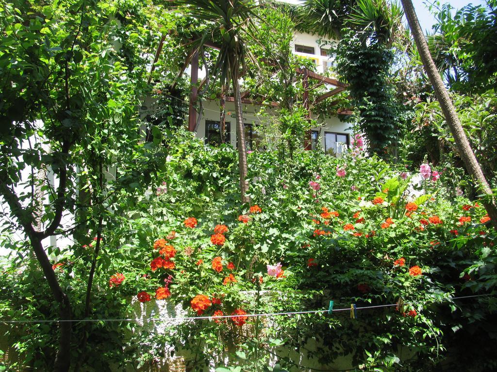 Aris Hotel