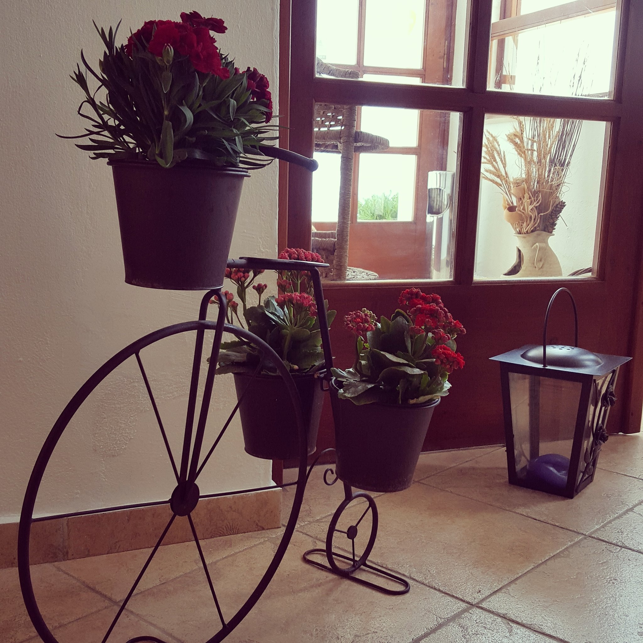 Amazones Village Suites