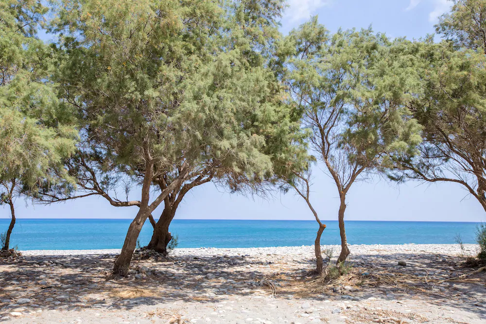 Aadonis Villa