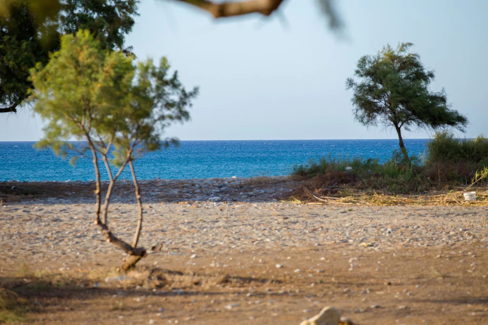 Aadonis Villa