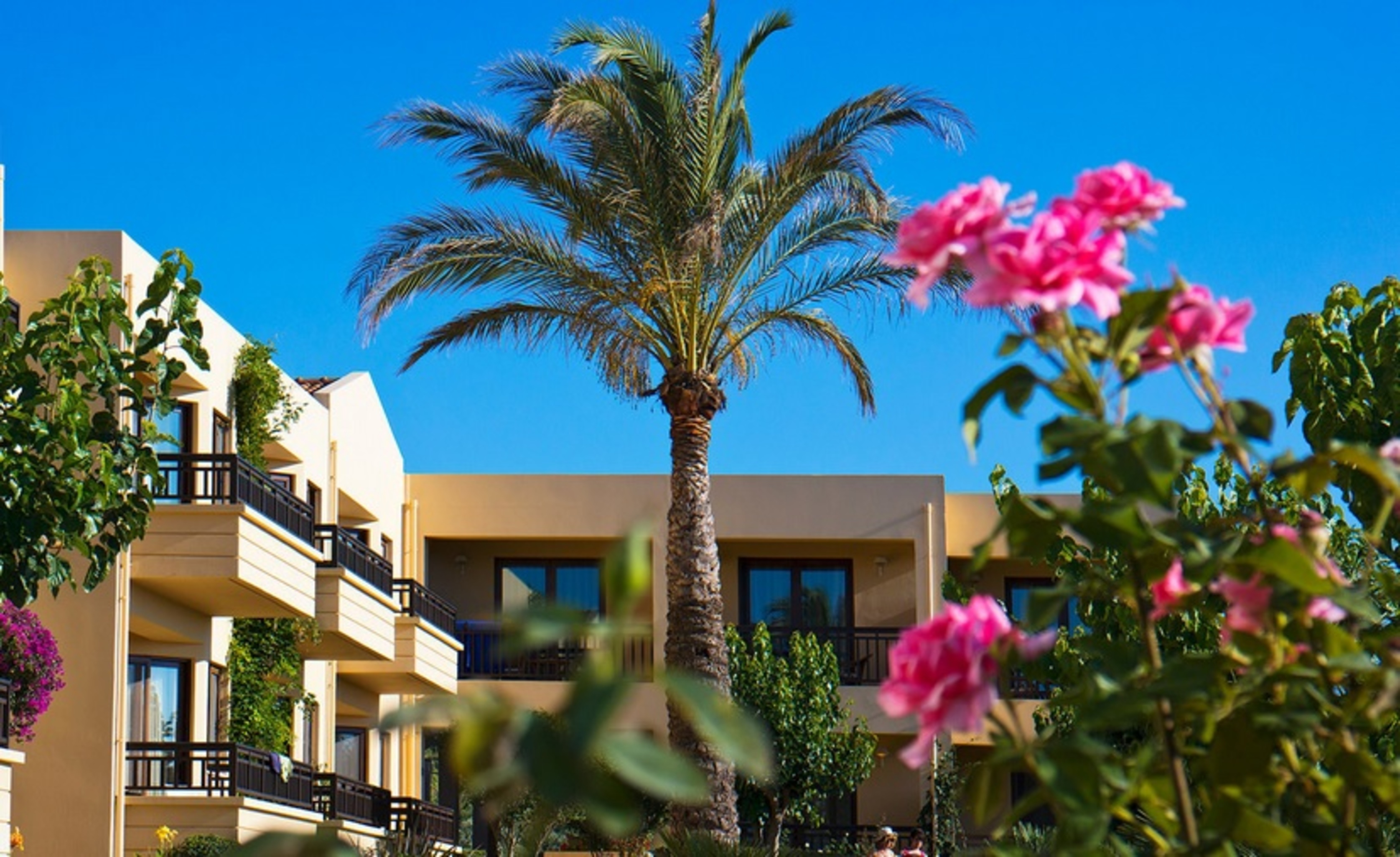 Asterion Suites & Spa - Designed for adults by Louis Hotels