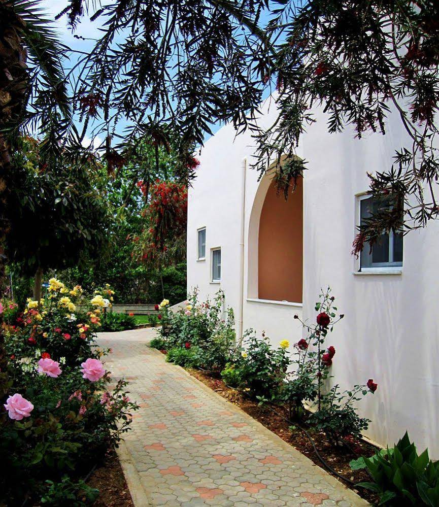 Cathrin Apartments and Studios