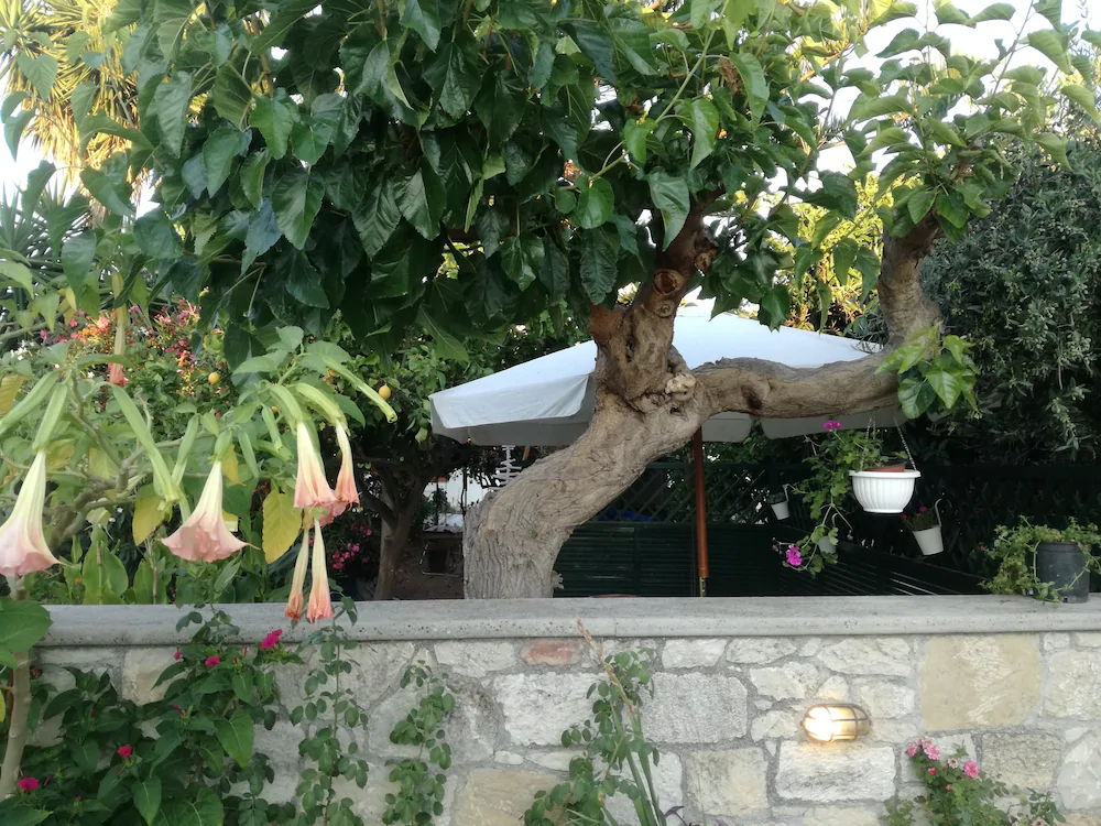 Chez Athena