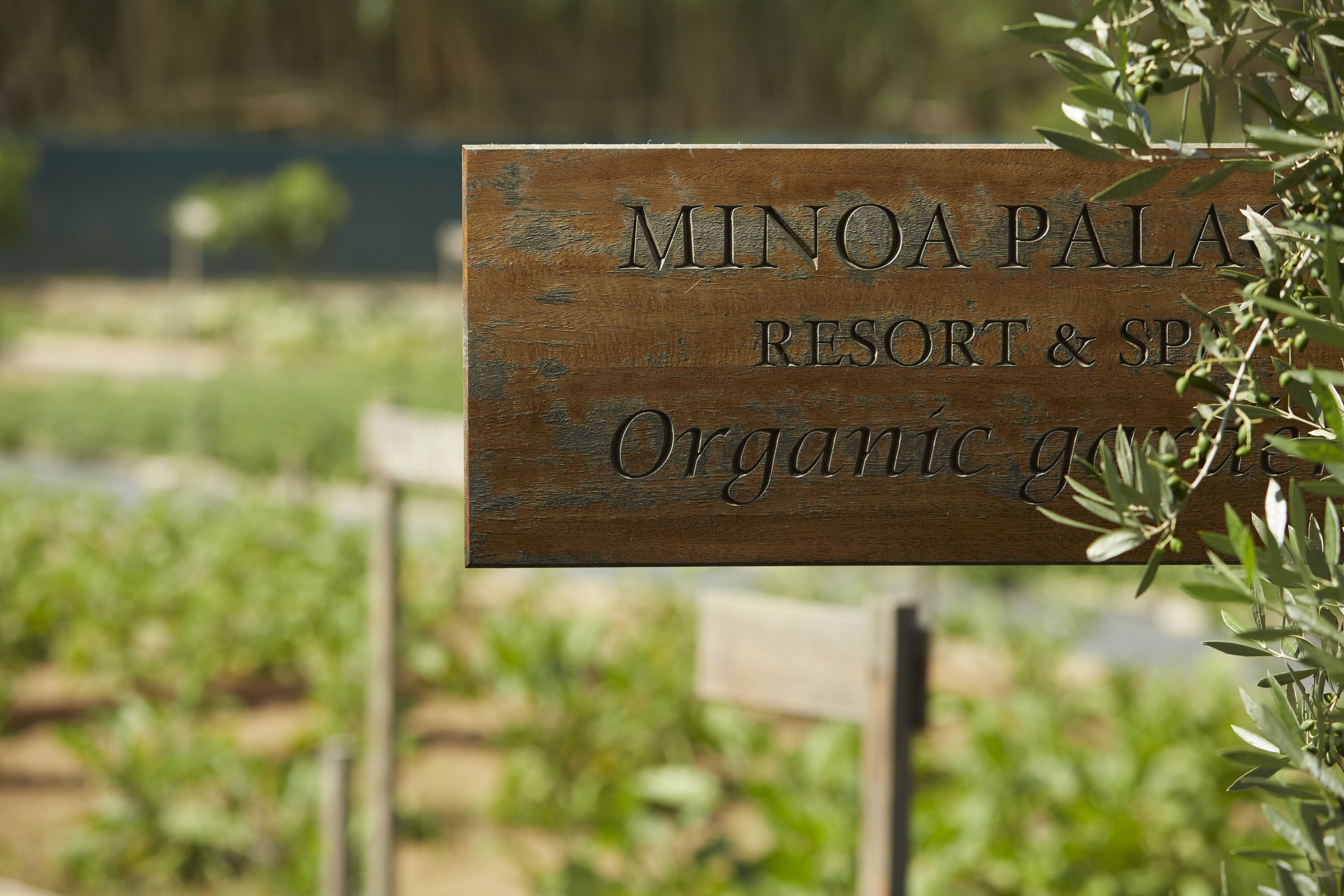 Minoa Palace Resort