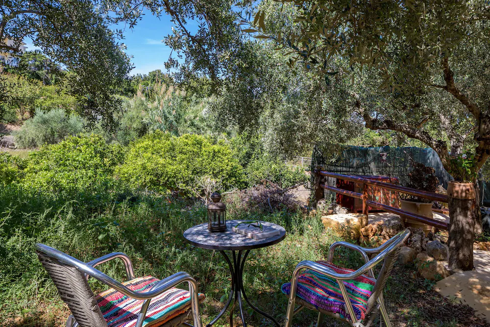 The Olive House