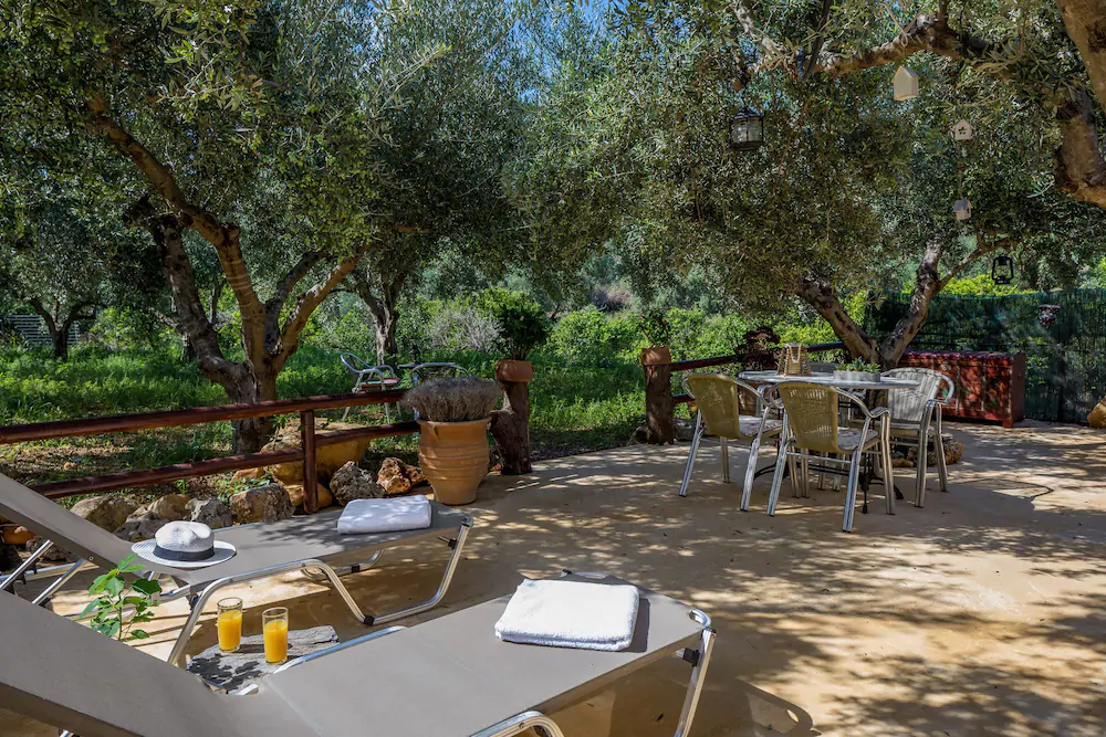 The Olive House