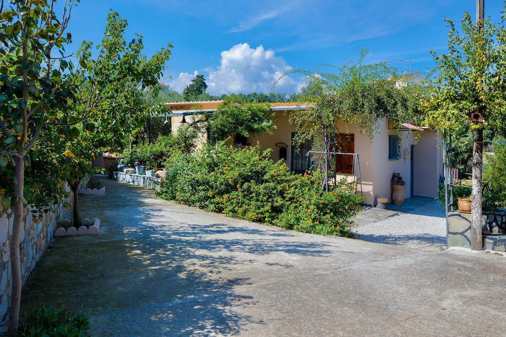 The Olive House