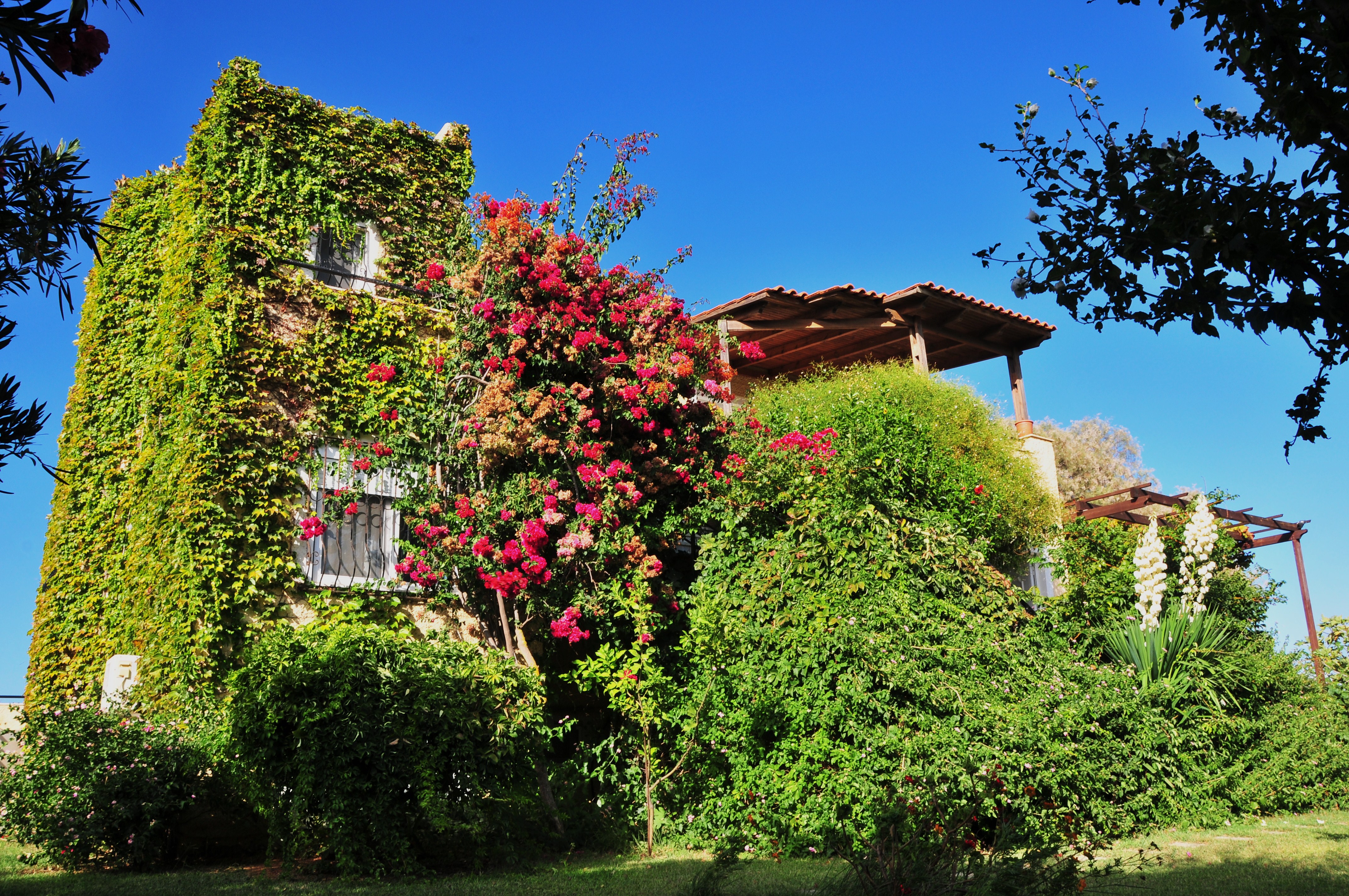 Villa Fleria