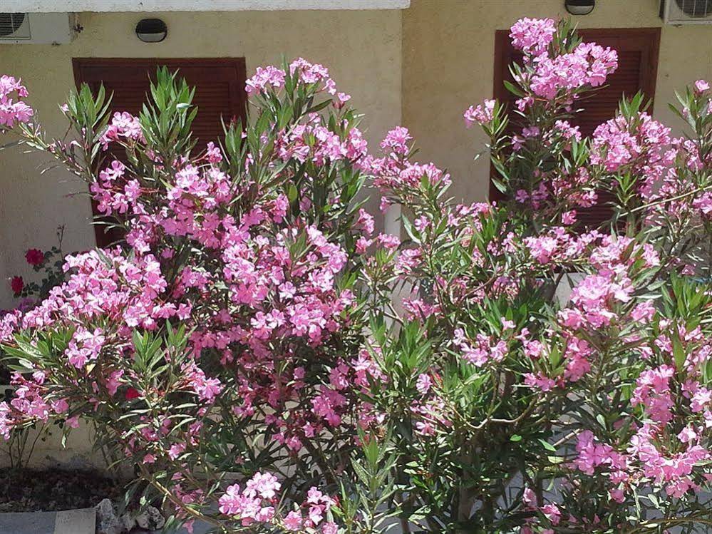 Hotel Amaril