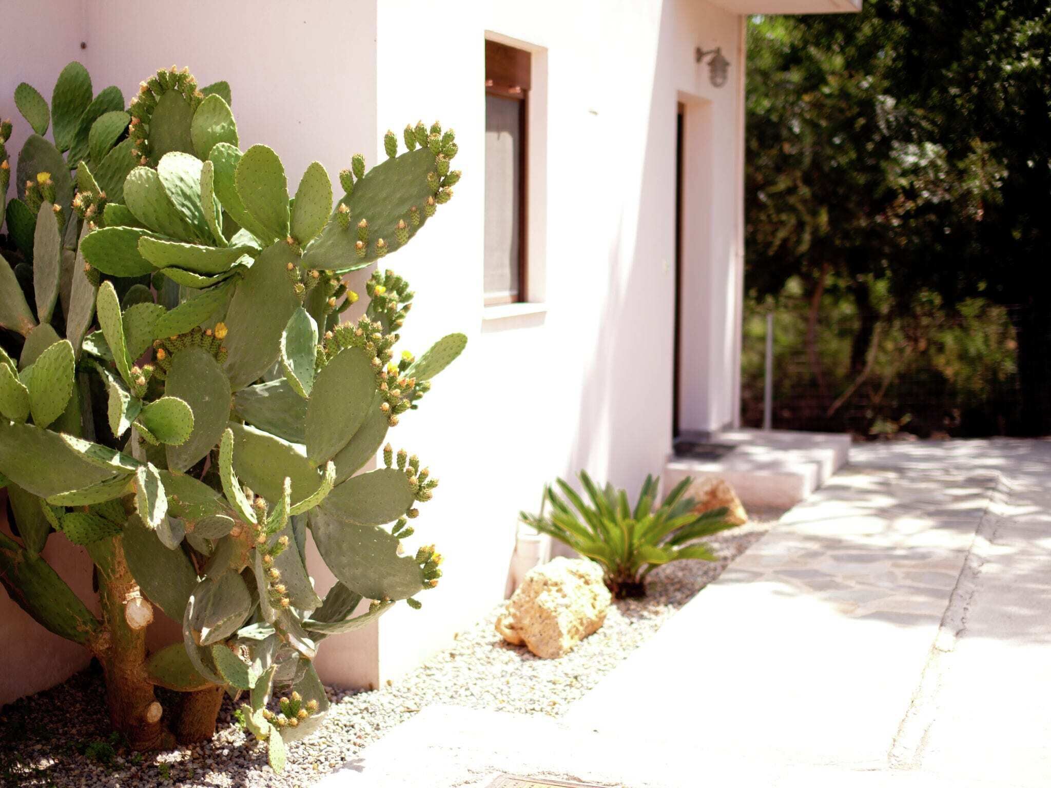 Villa Eleonora