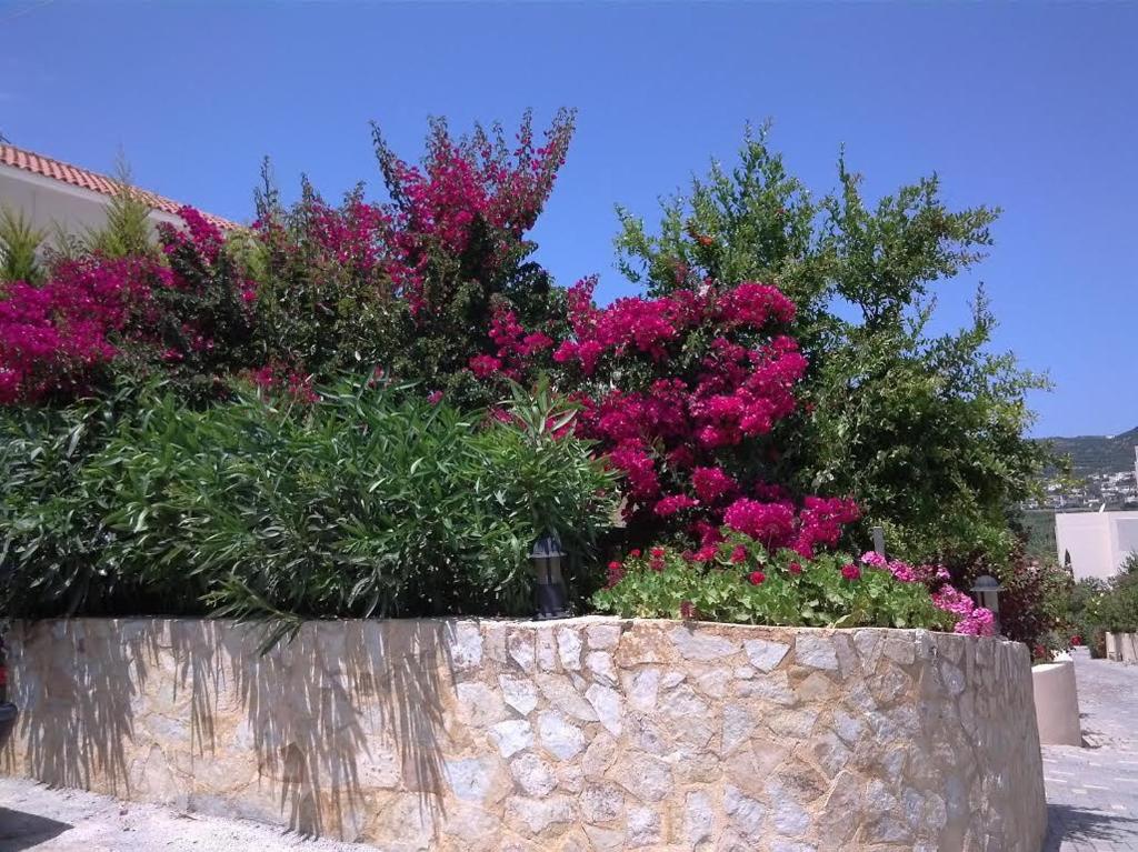 Selini Luxury Villas