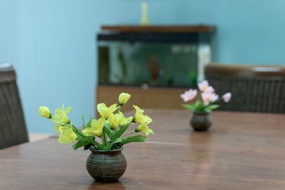 Aloe Apartments & Studios