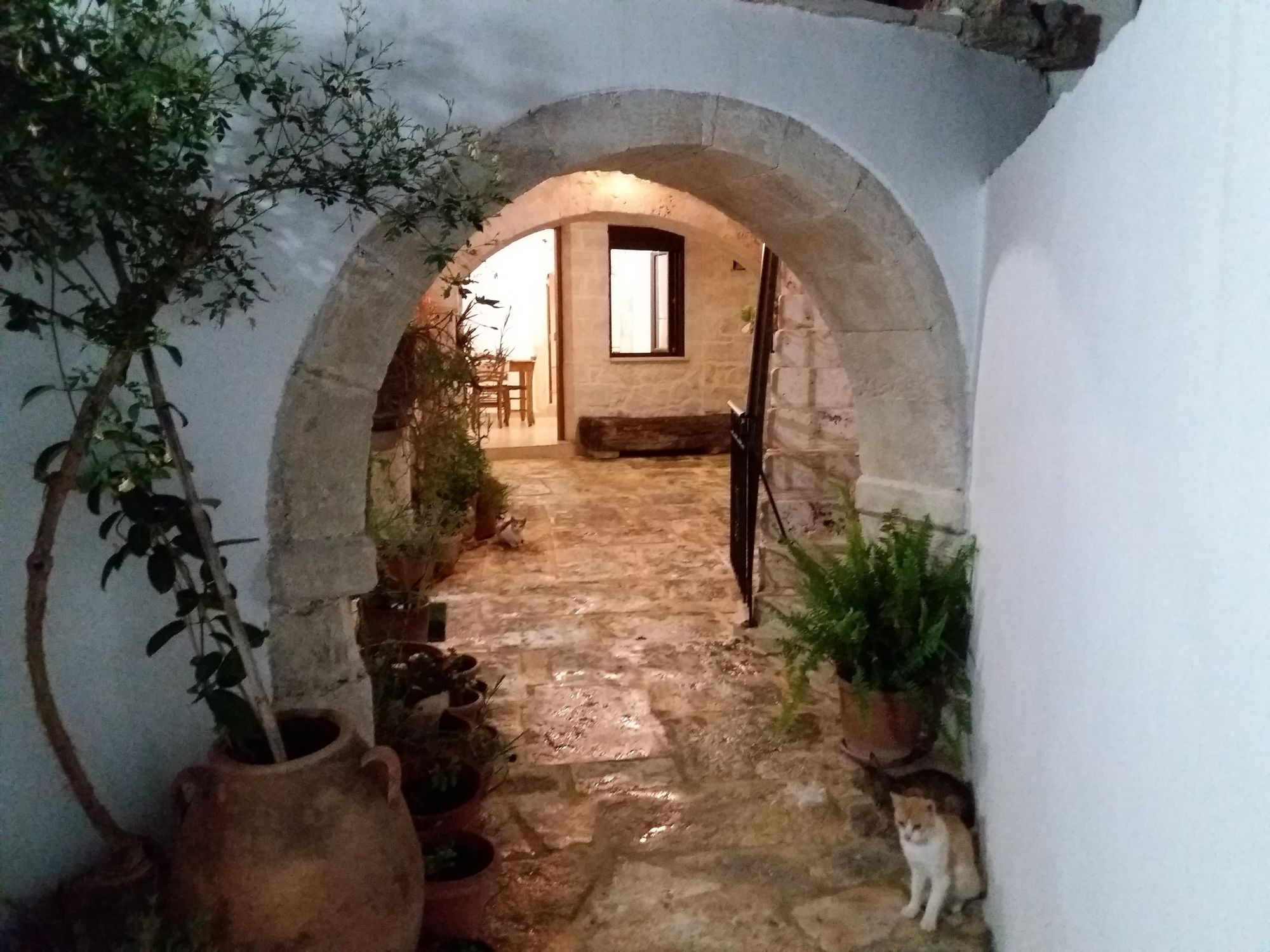 Grandma's House