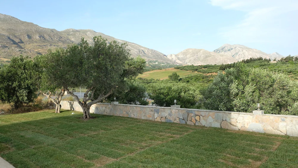 Terra Divina