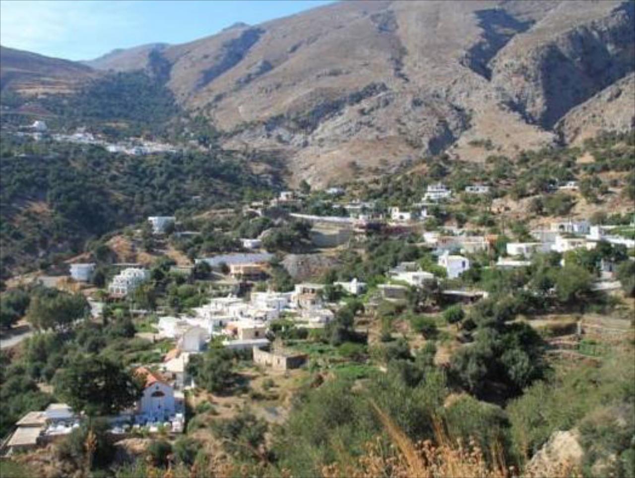 Oasis Studios