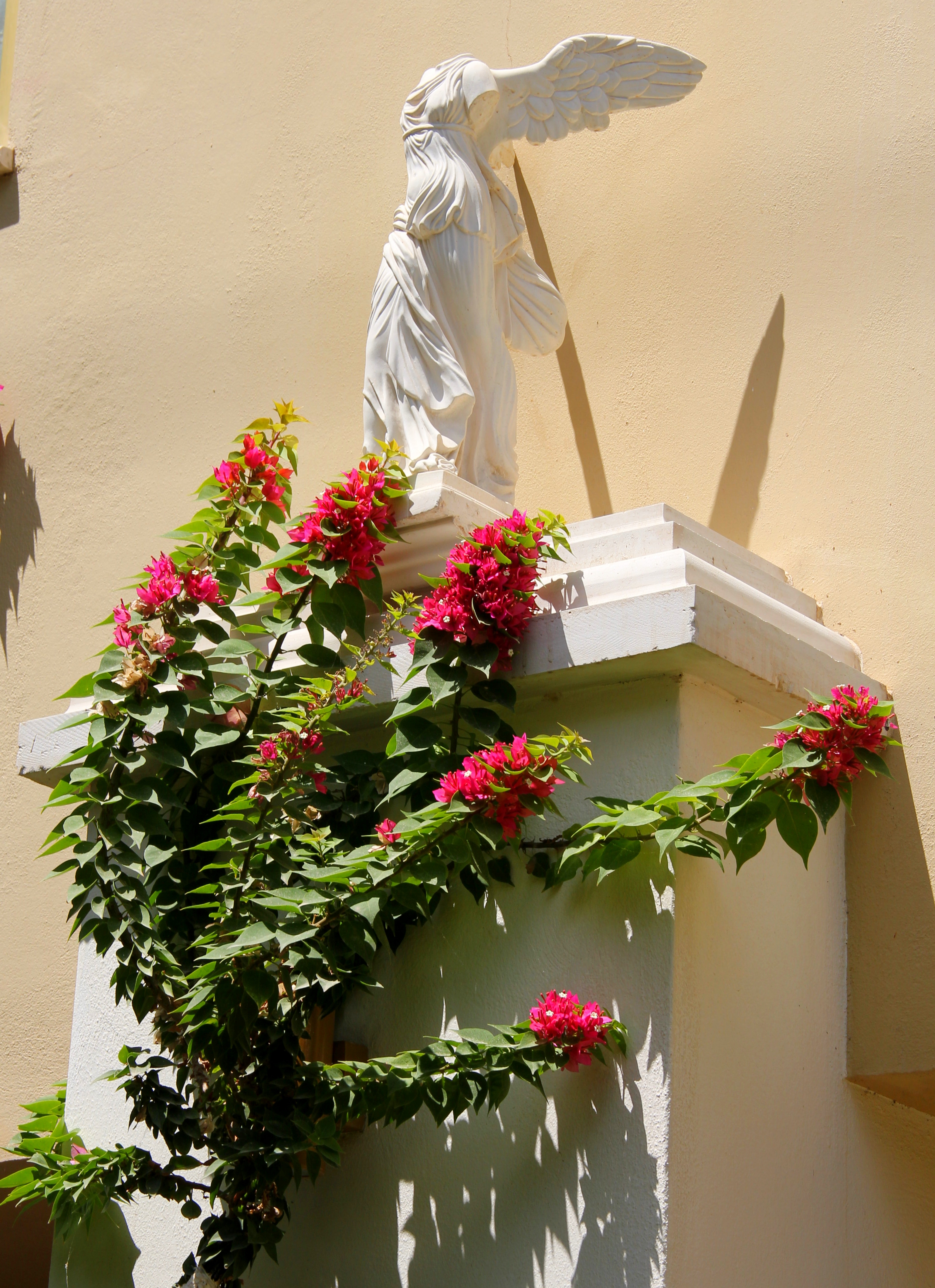 White Olive Elite Rethymno