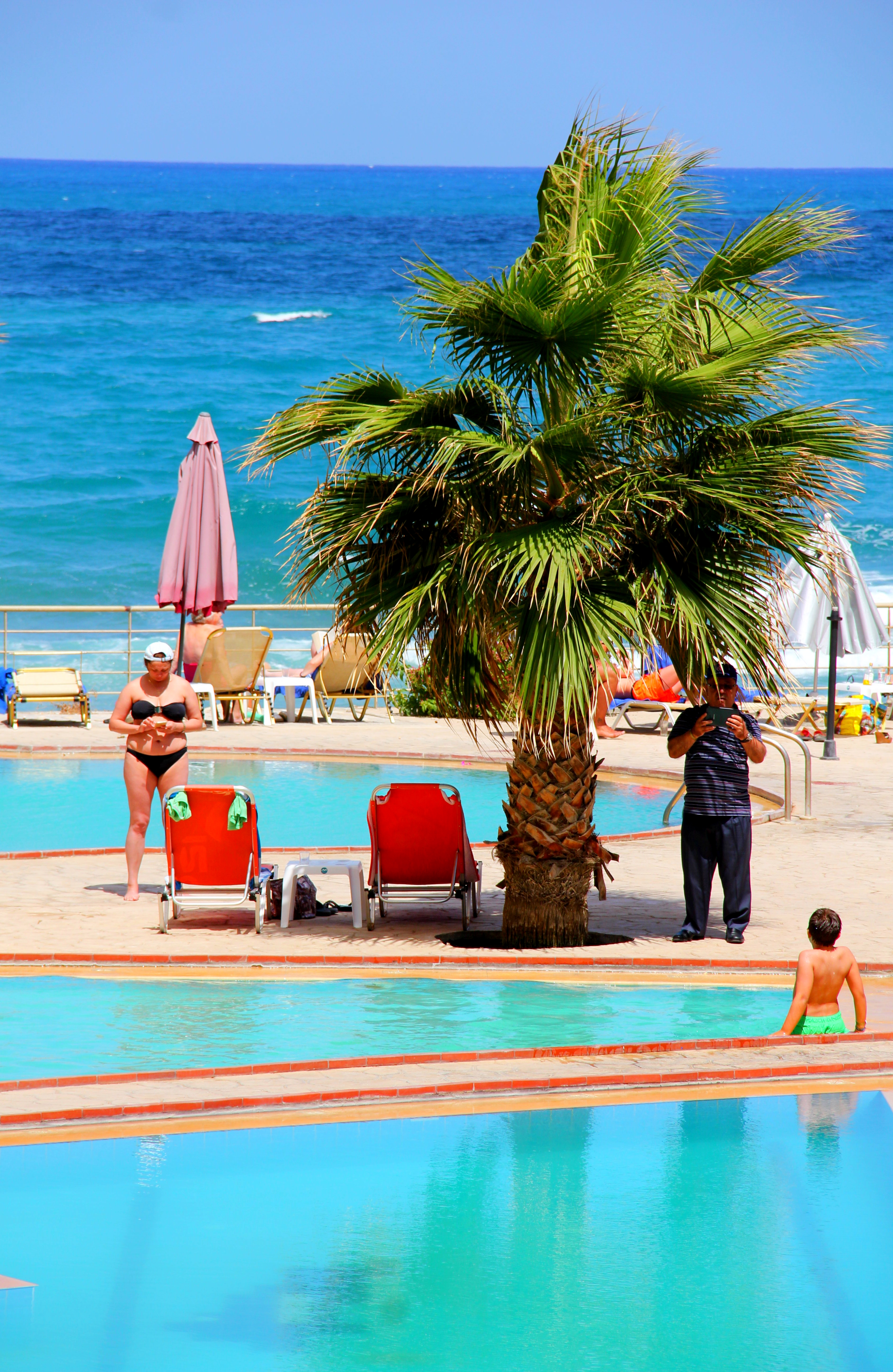 White Olive Elite Rethymno