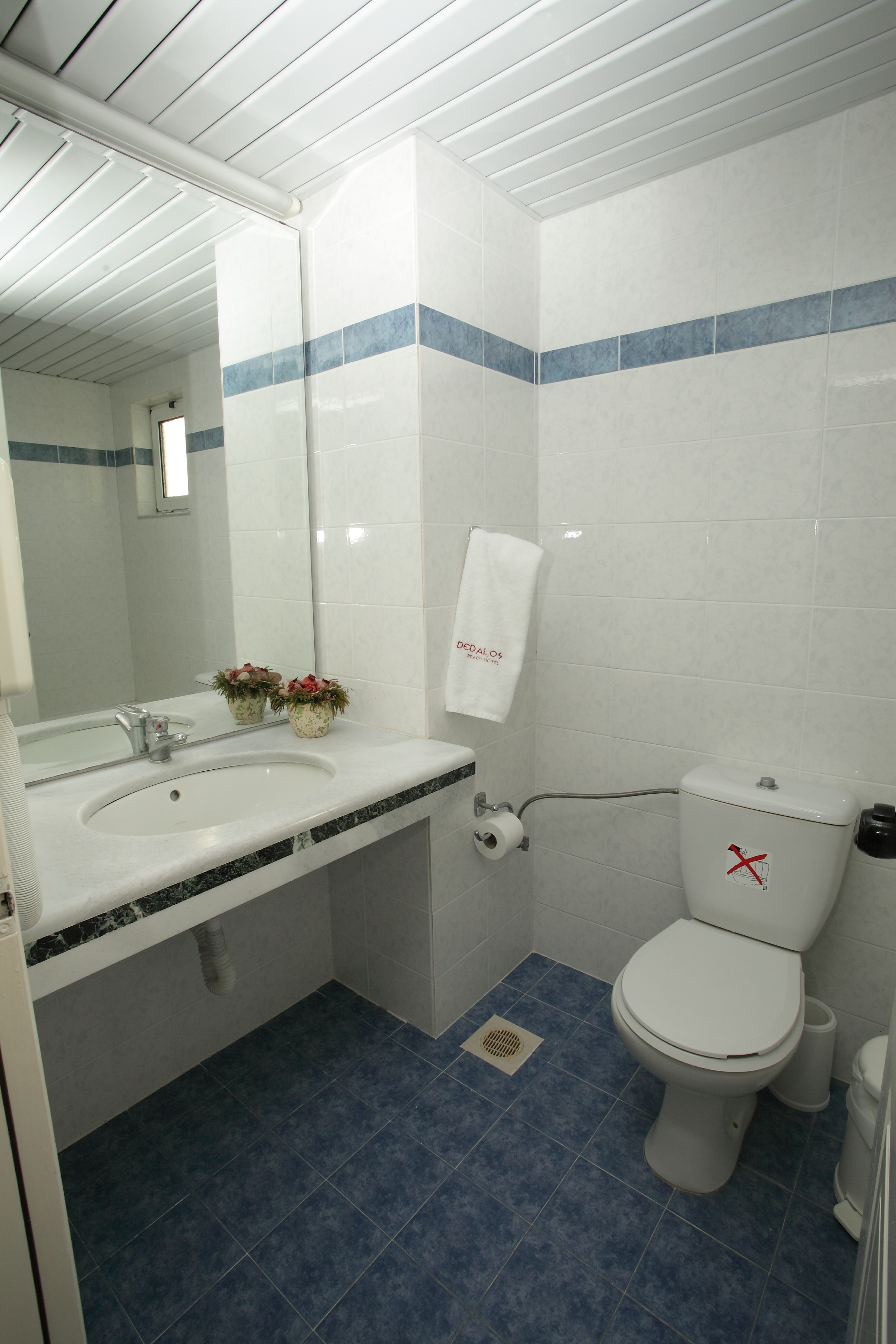 Dedalos Beach Hotel