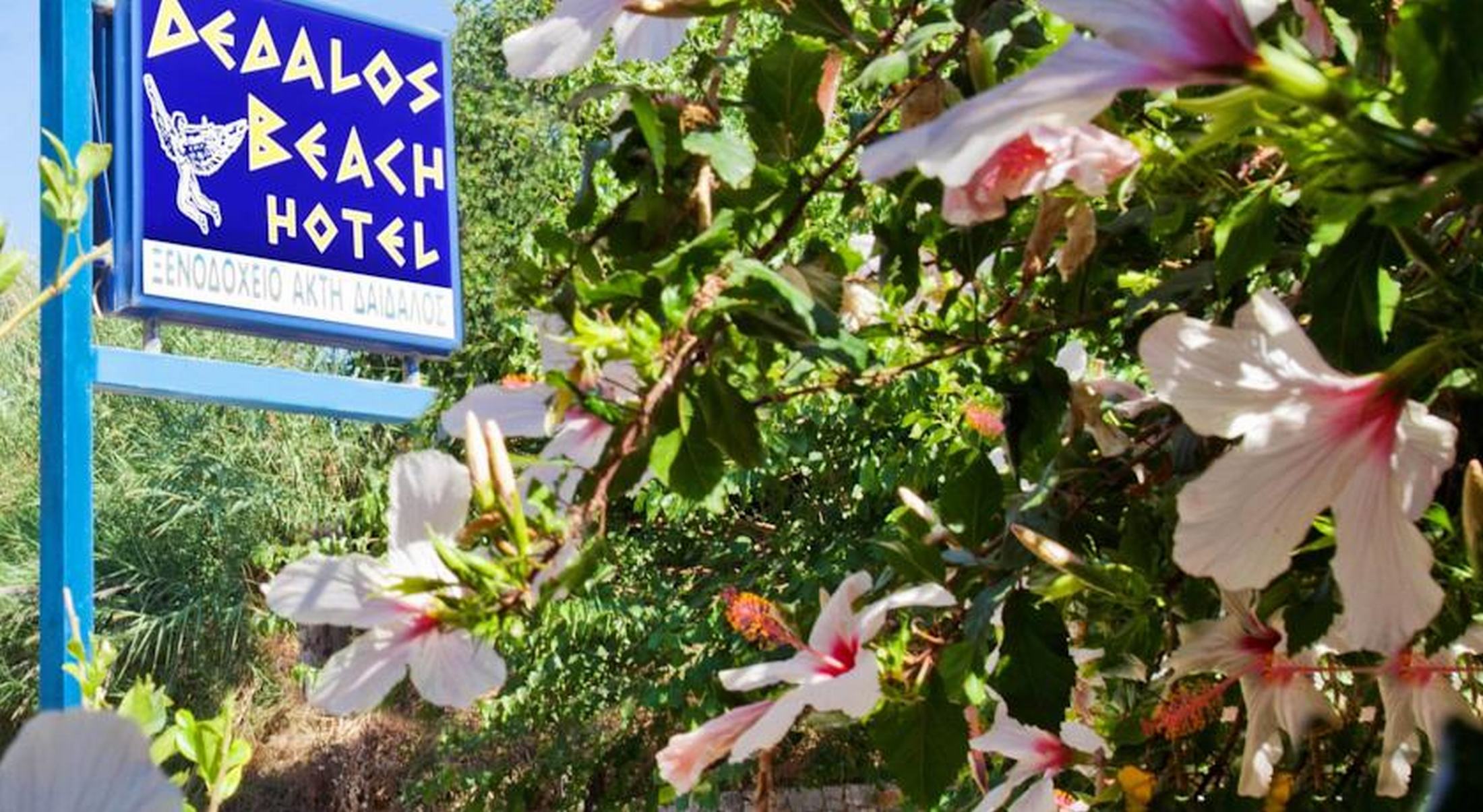 Dedalos Beach Hotel