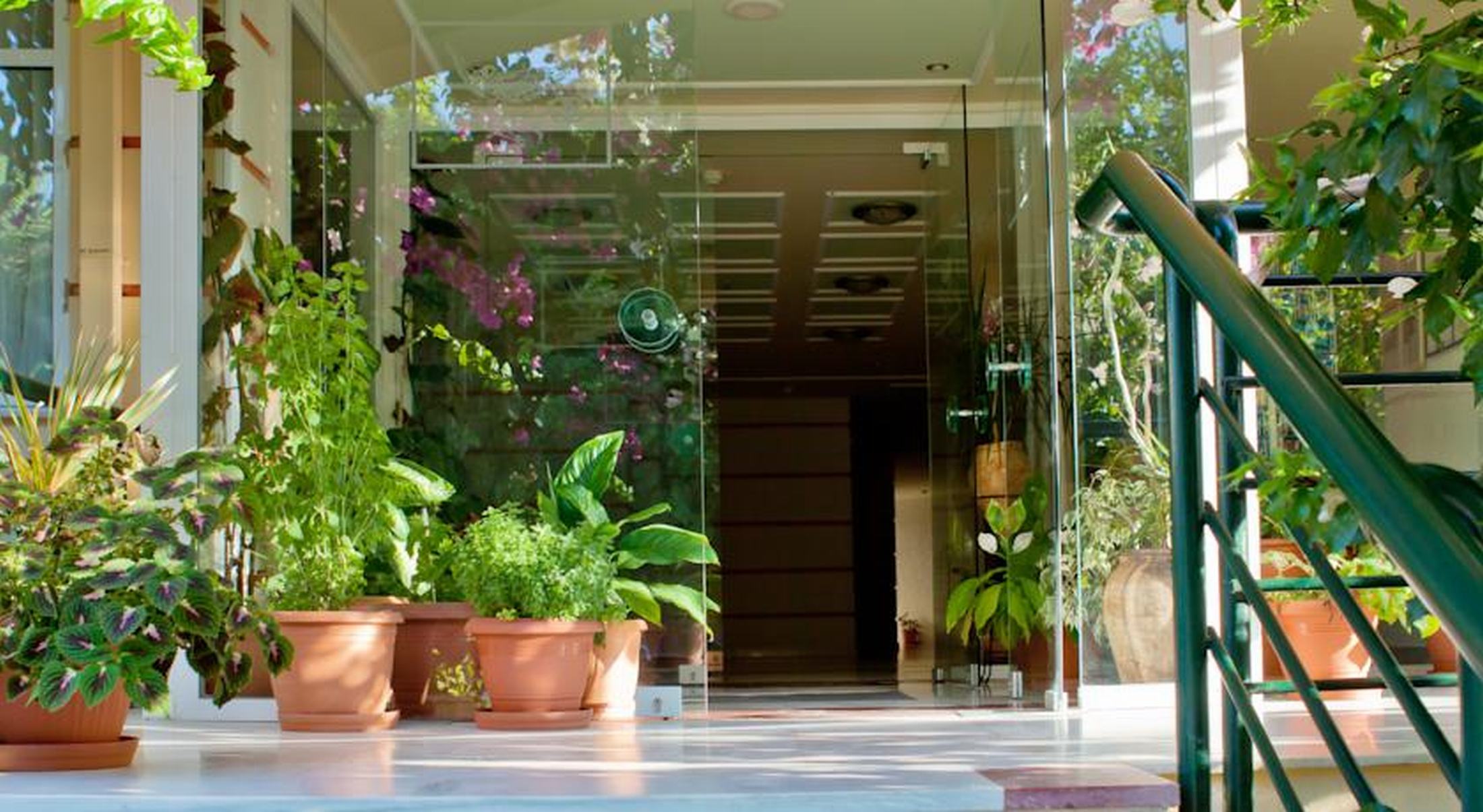 Dedalos Beach Hotel