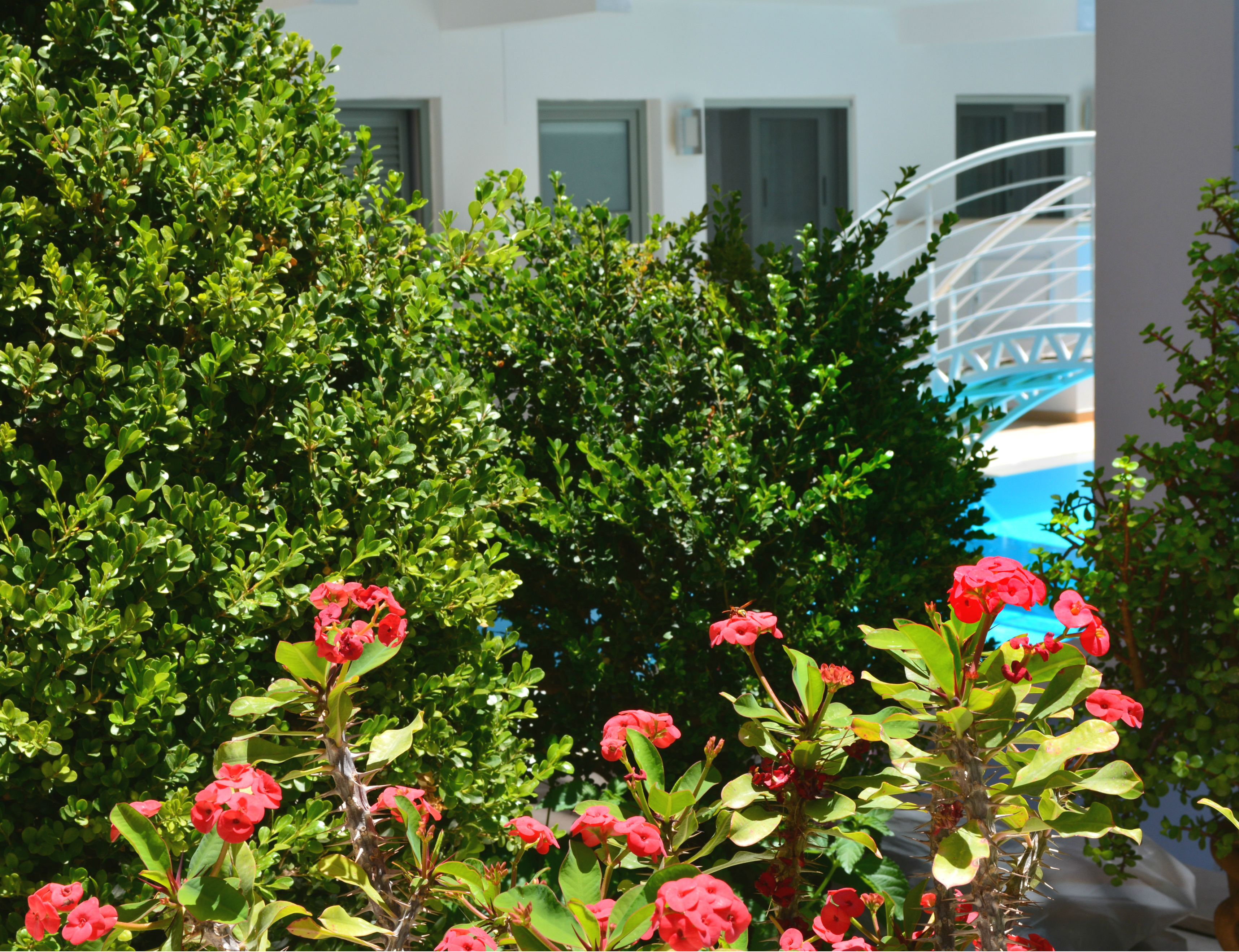 Angela Suites Boutique Hotel
