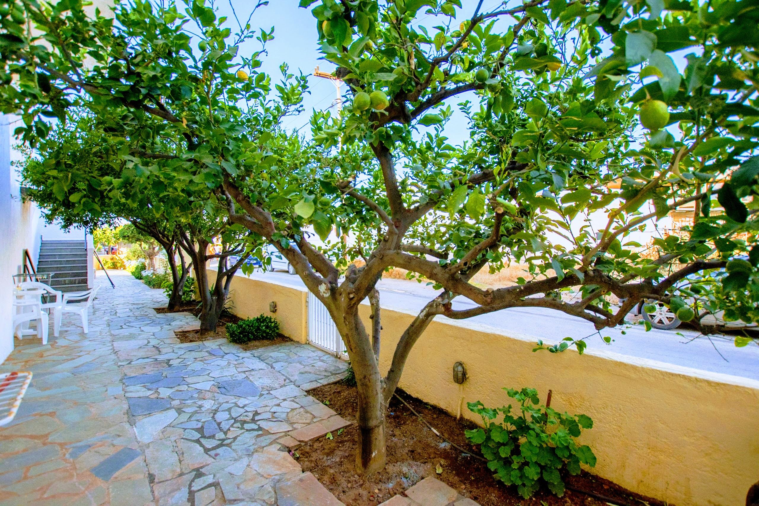 Hotel Zygos