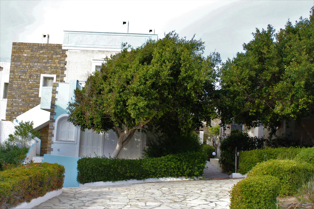 One And Only Apartments