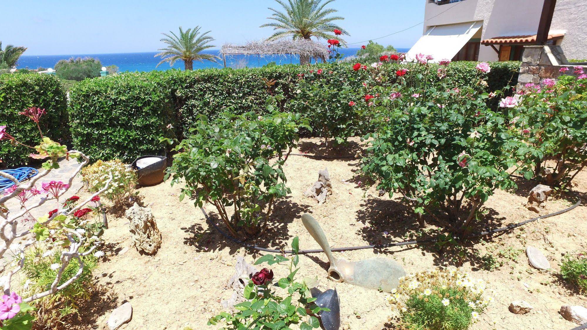 Villa Katerina Holiday Apartments