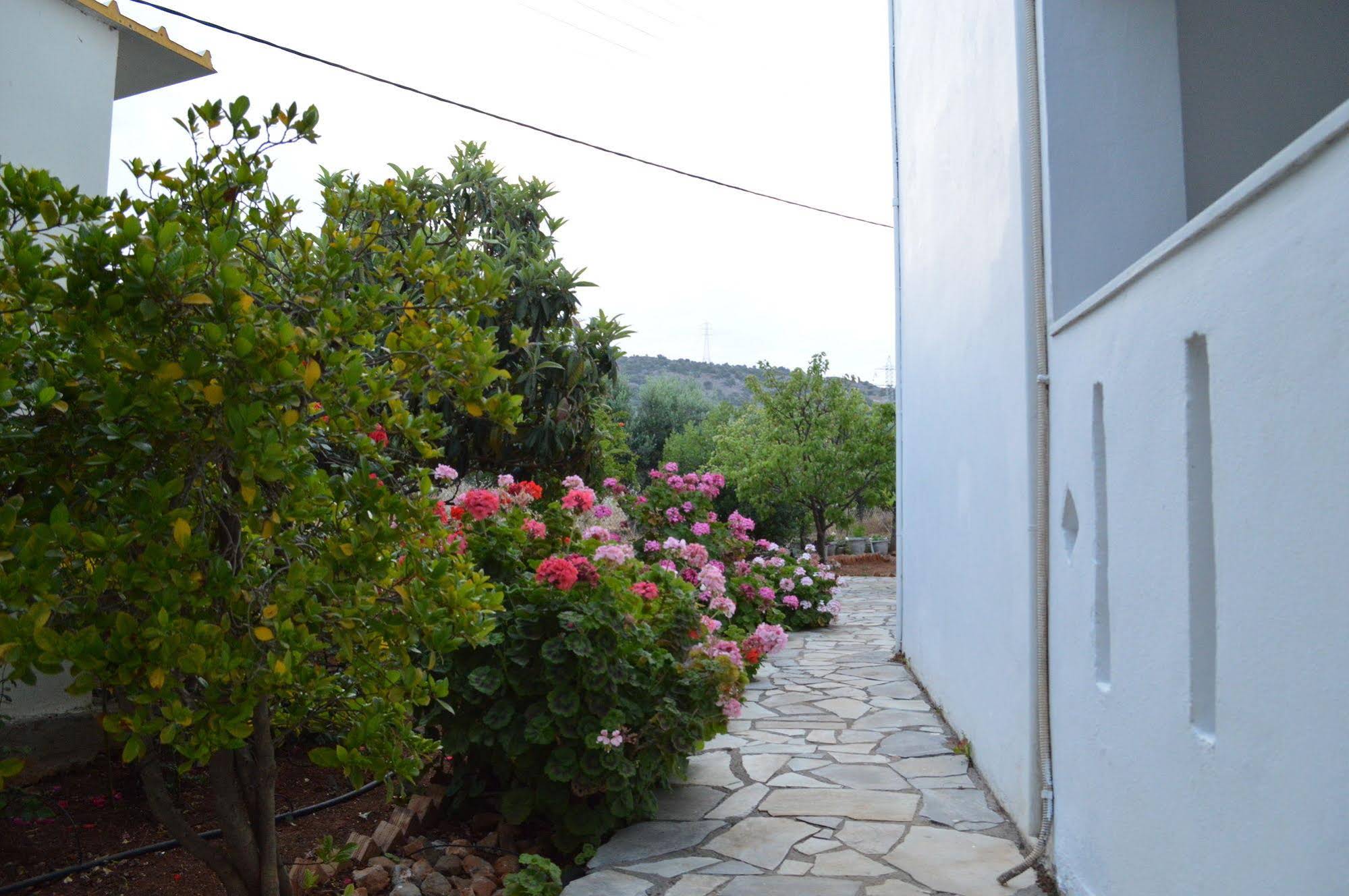 Nikos Apartments