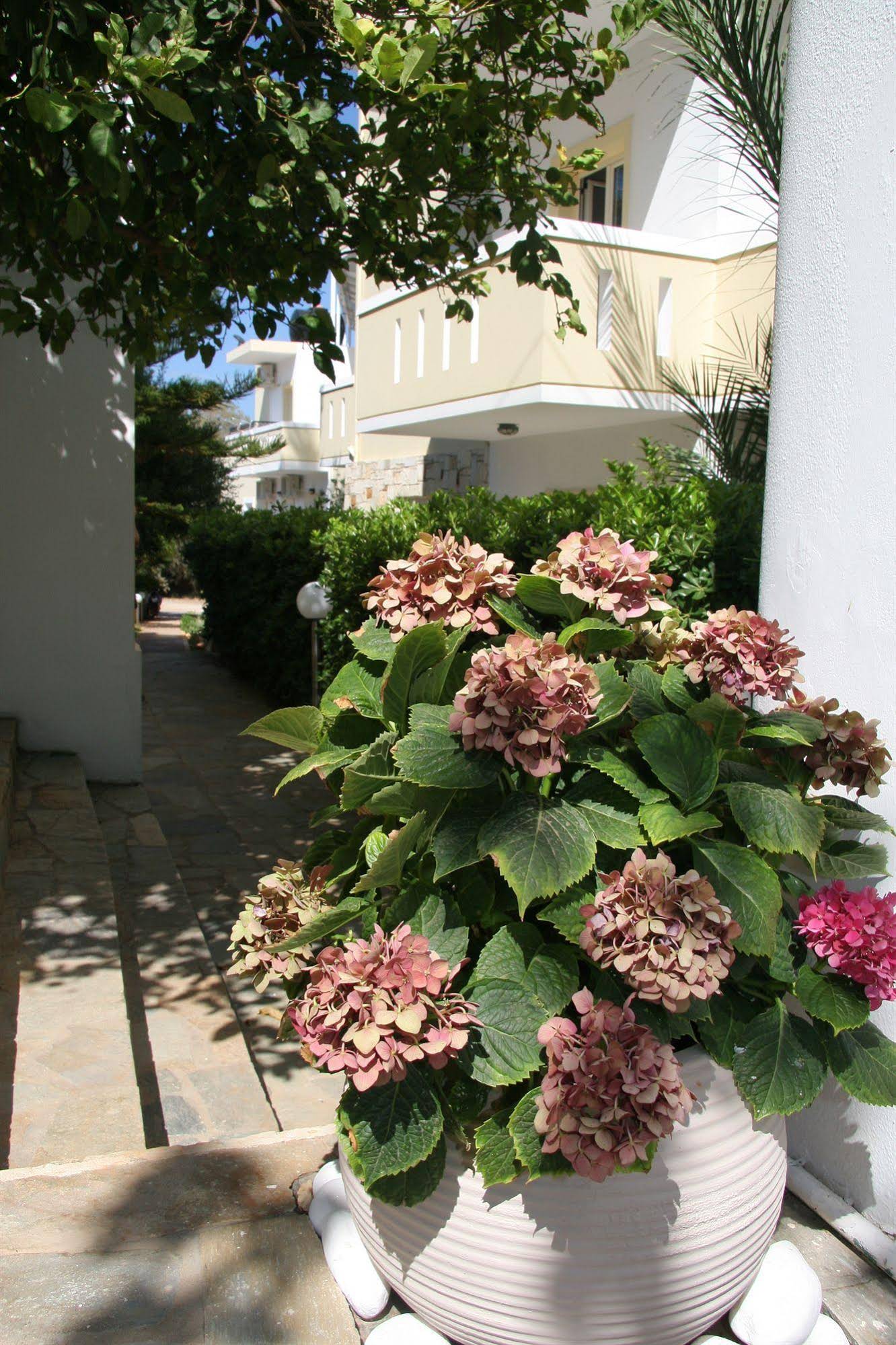 Nikos Apartments