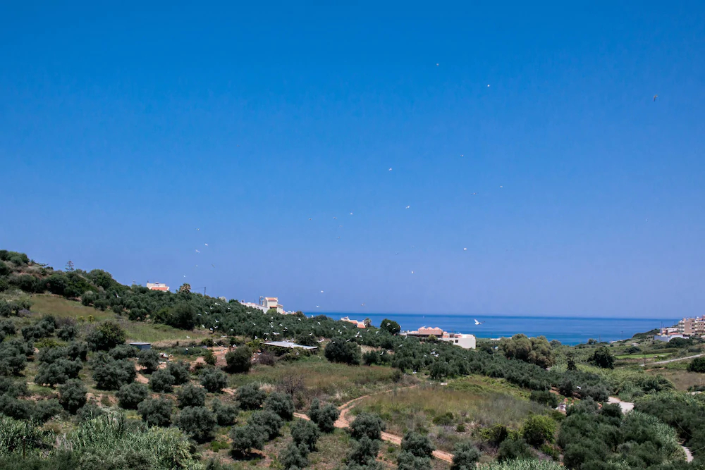 Alexandra Villa Stalos
