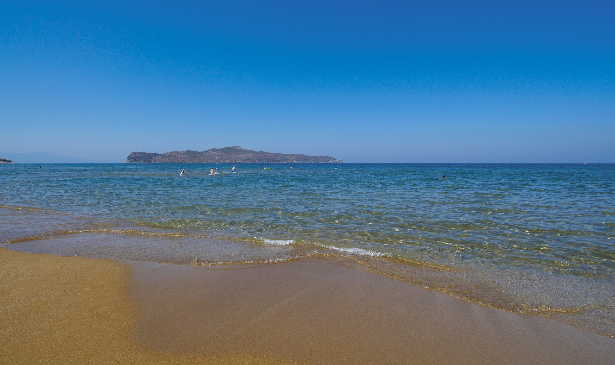 Creta Palm