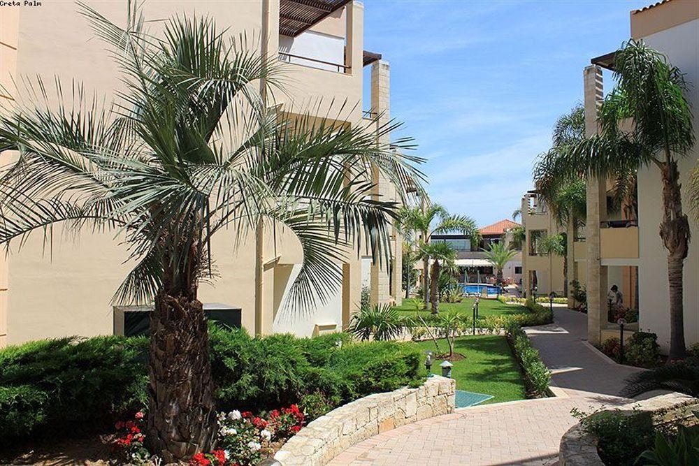 Creta Palm