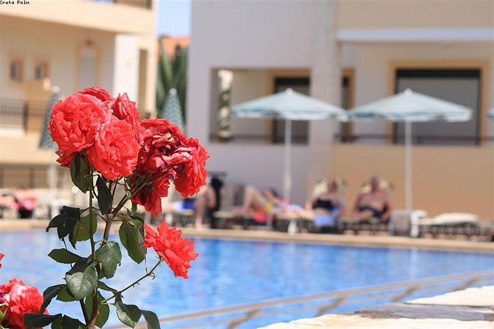 Creta Palm