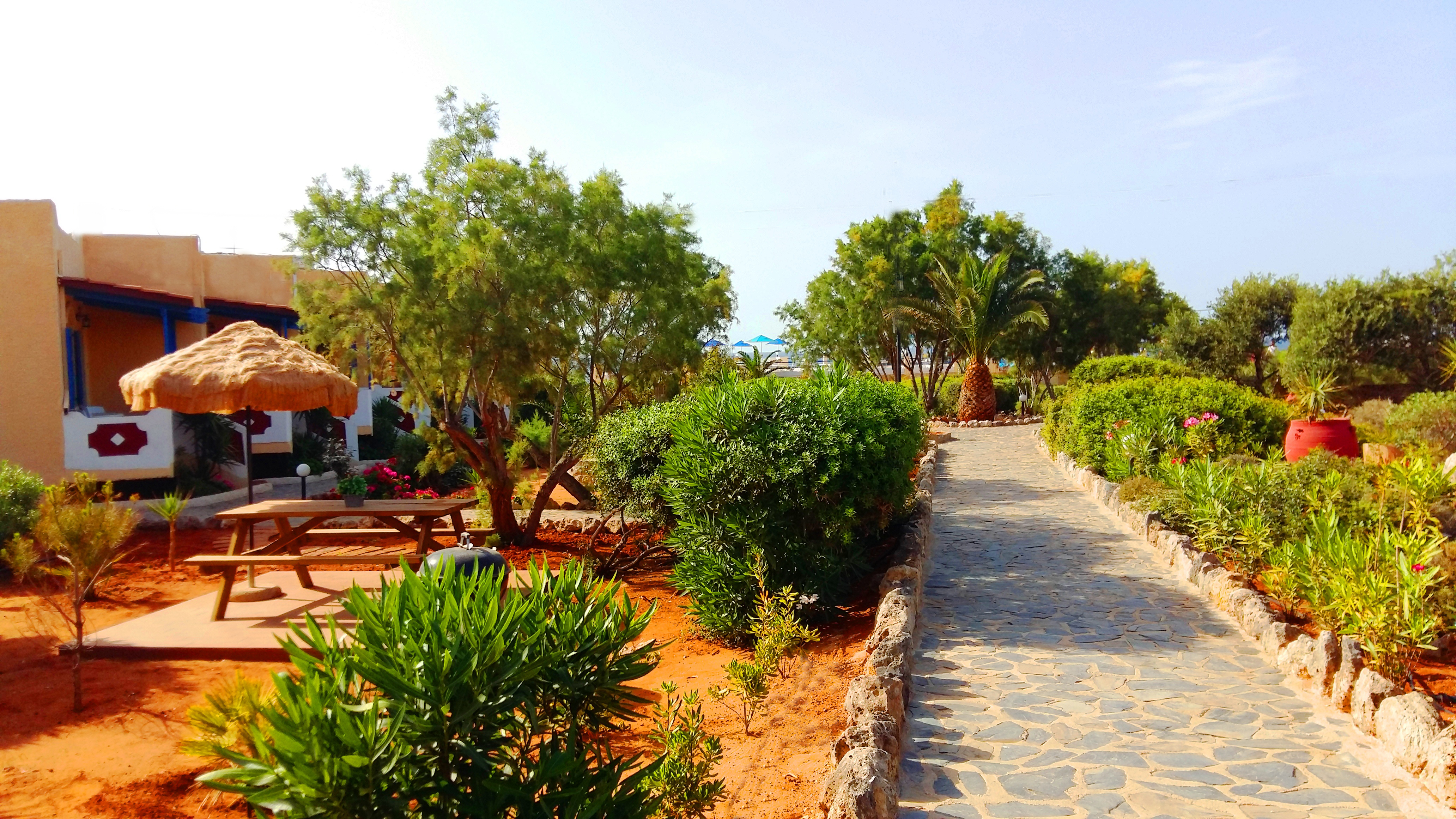 Hotel Zorbas Beach Village
