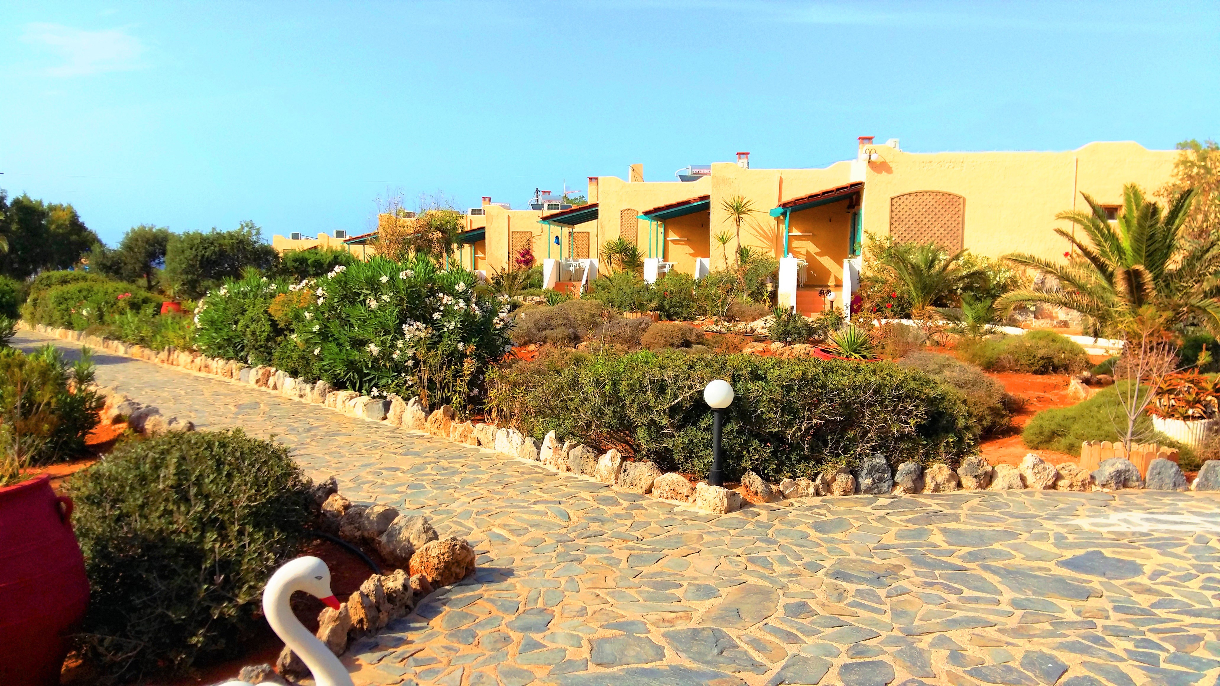 Hotel Zorbas Beach Village