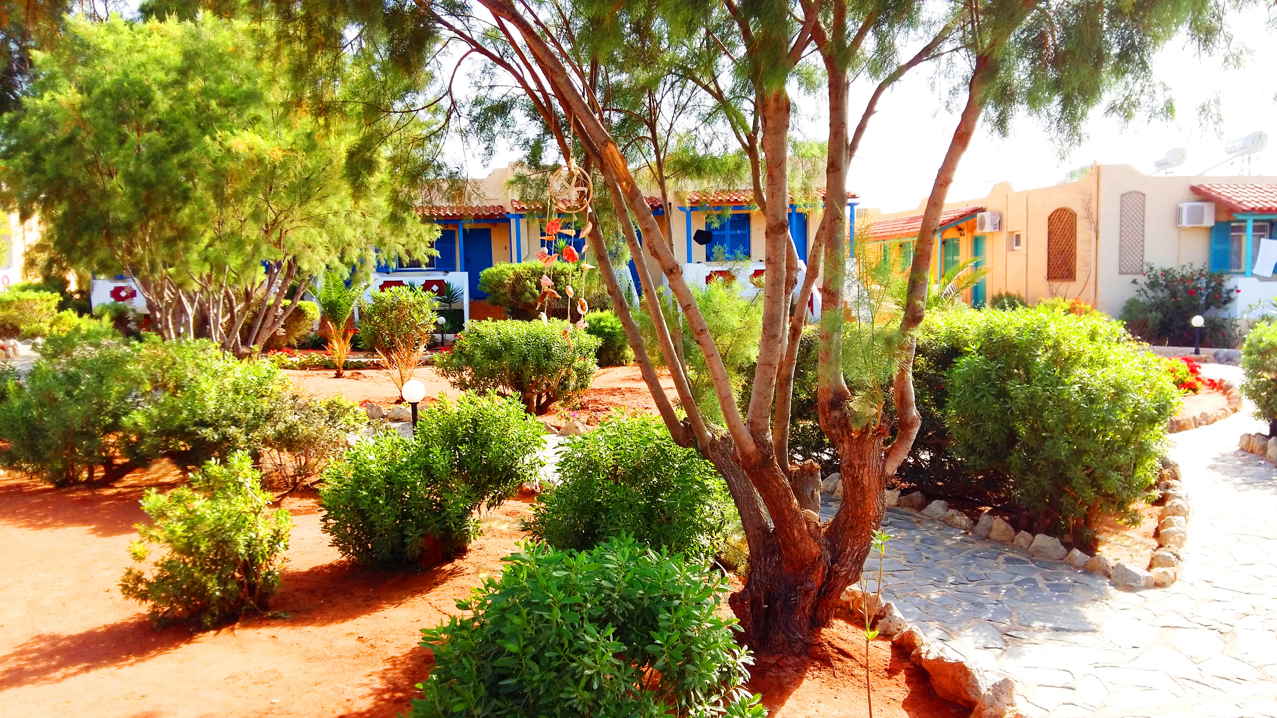 Hotel Zorbas Beach Village