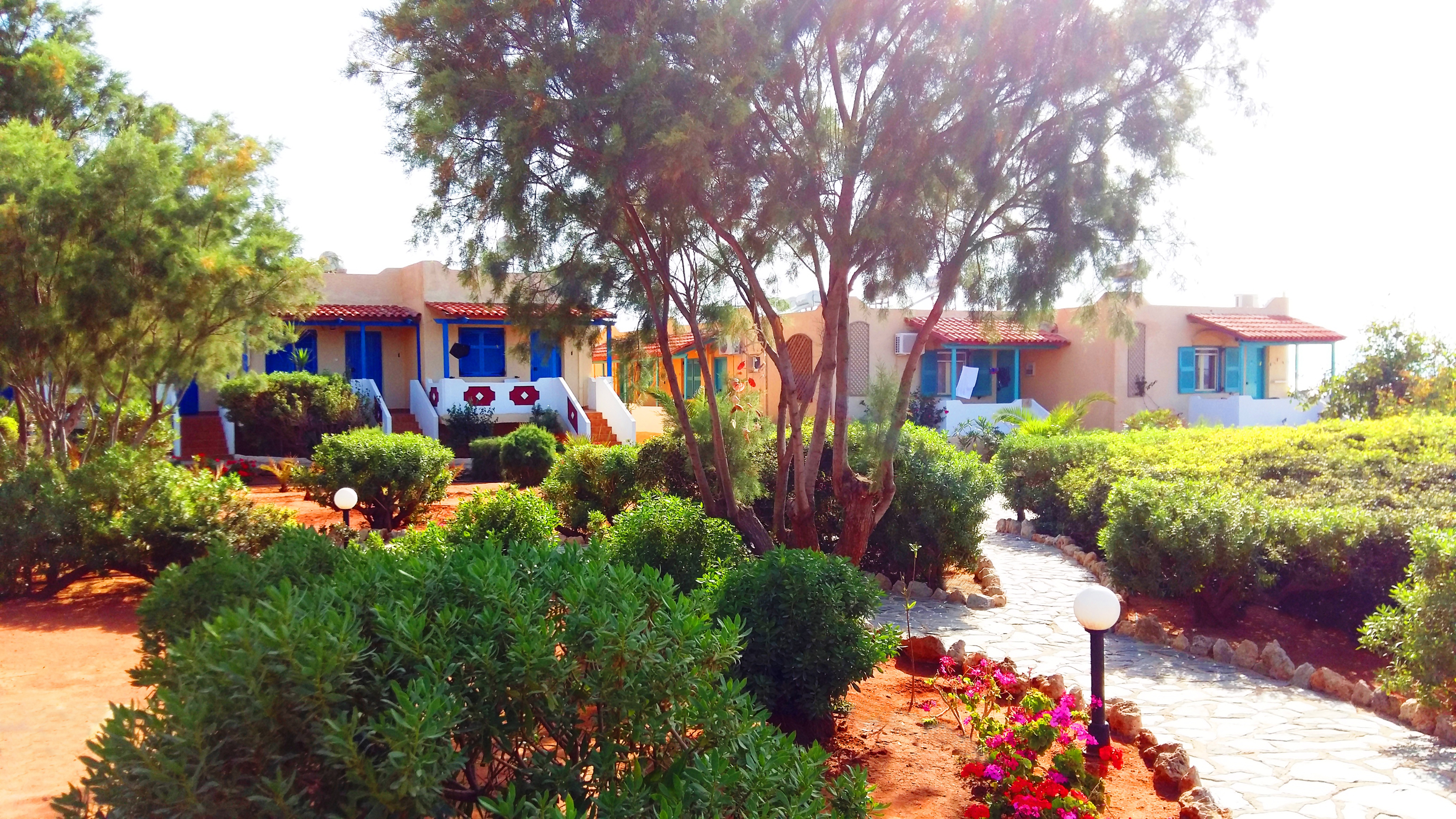 Hotel Zorbas Beach Village