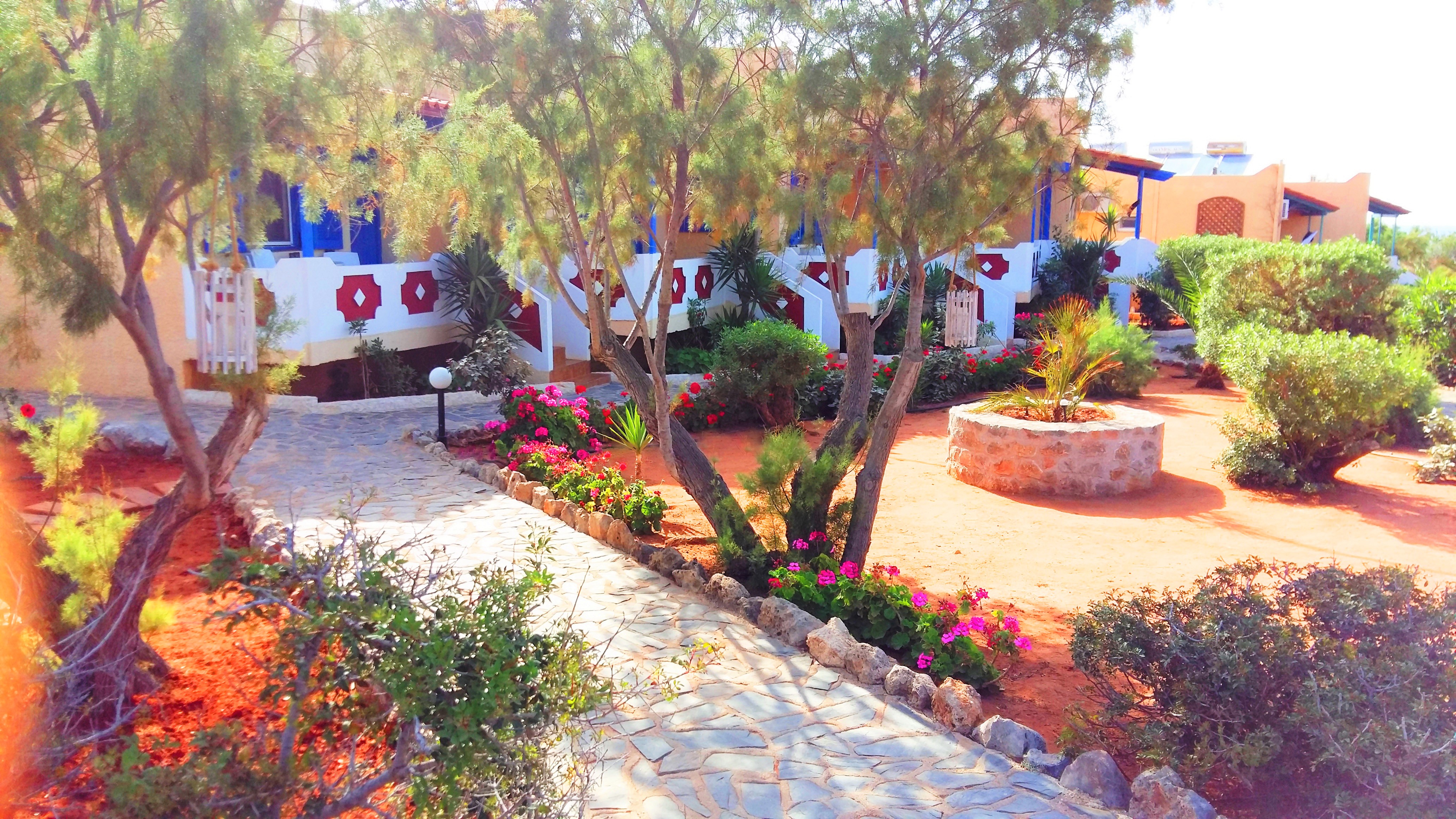Hotel Zorbas Beach Village