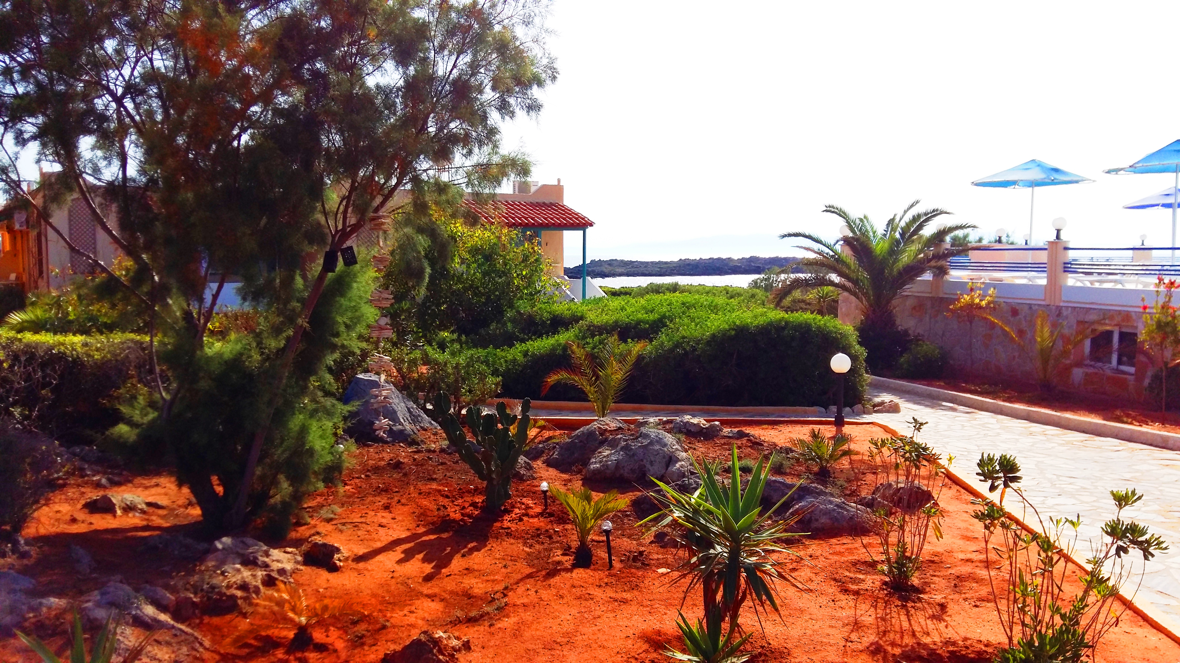 Hotel Zorbas Beach Village