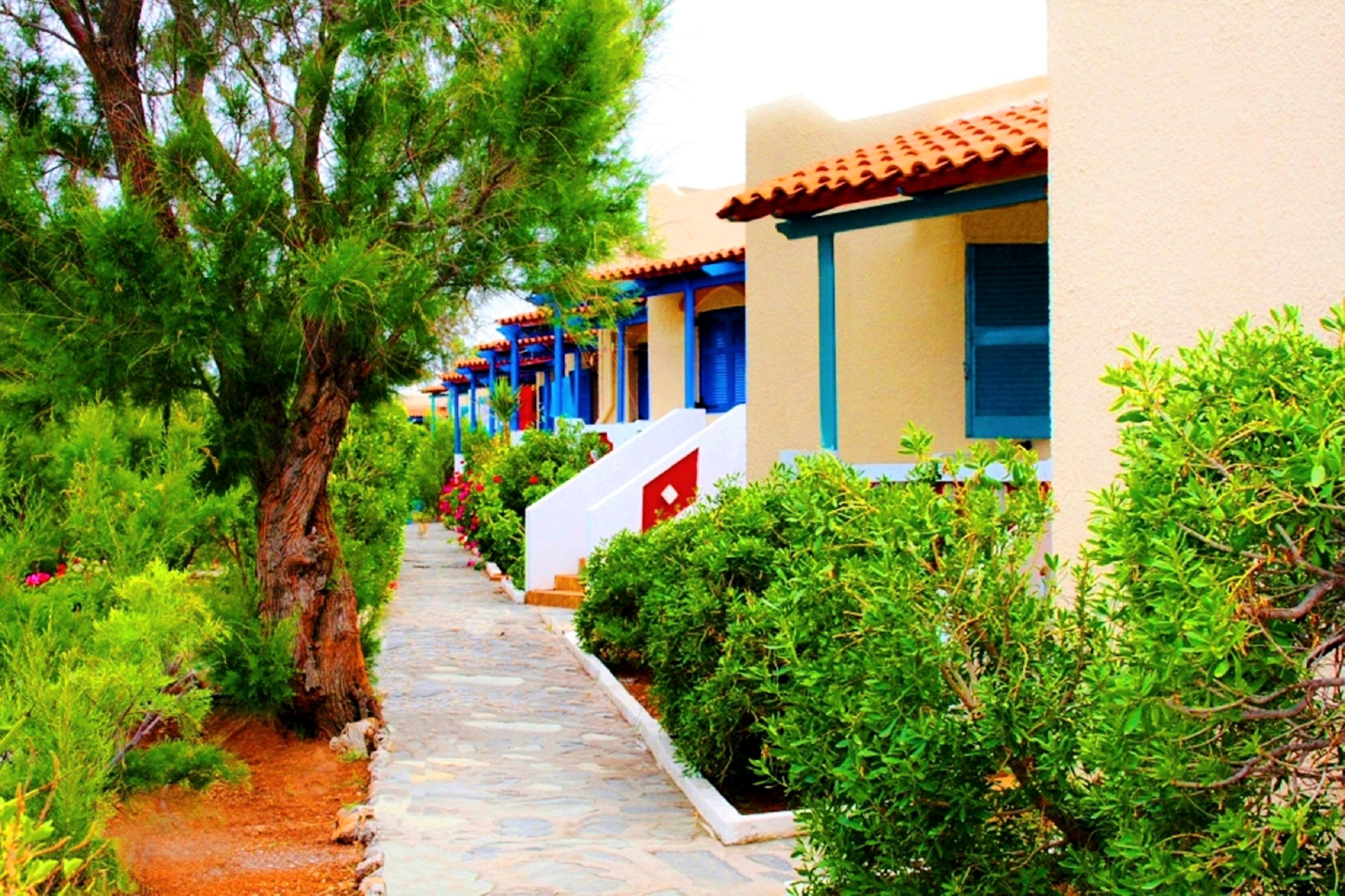 Hotel Zorbas Beach Village