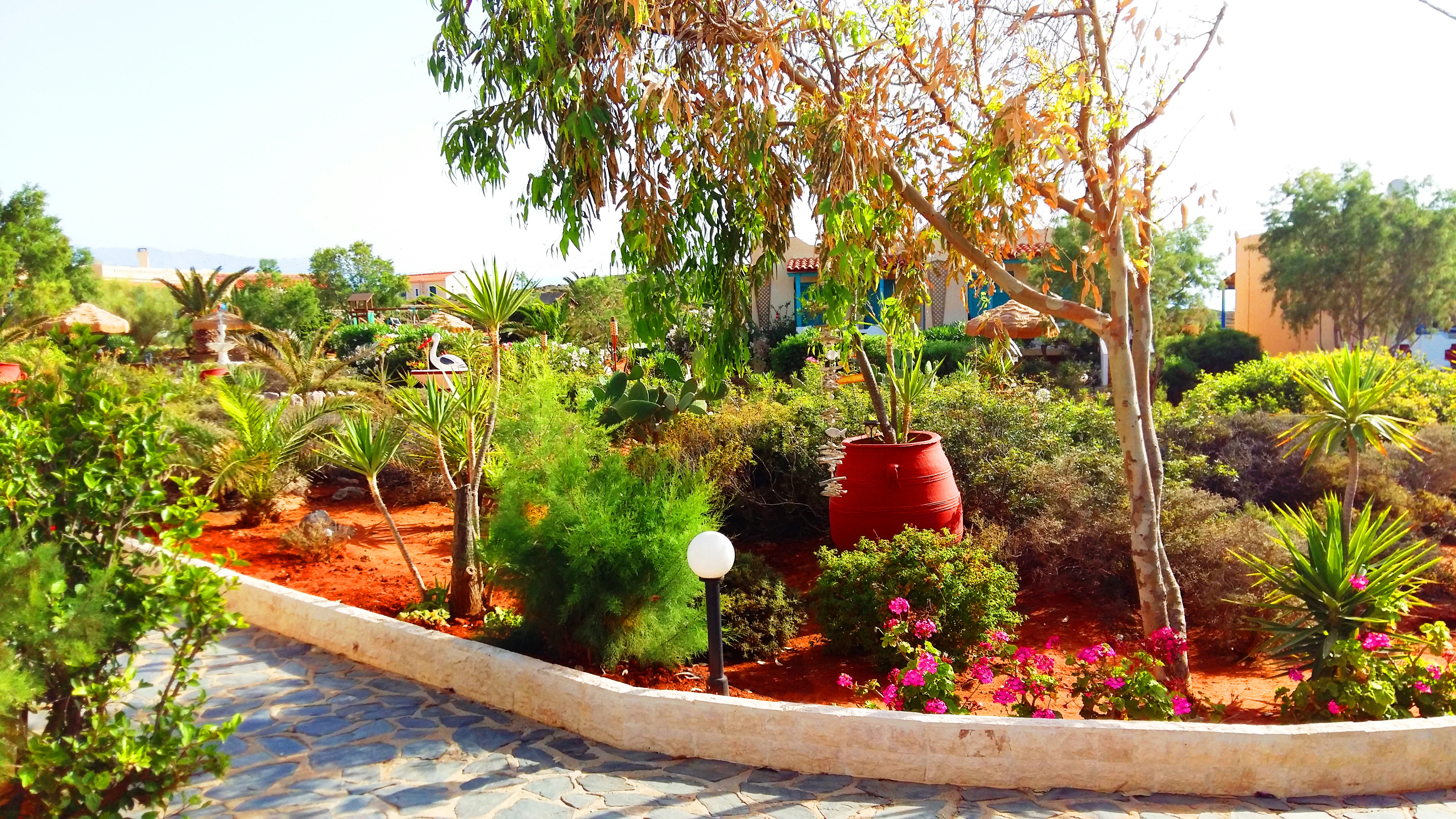 Hotel Zorbas Beach Village